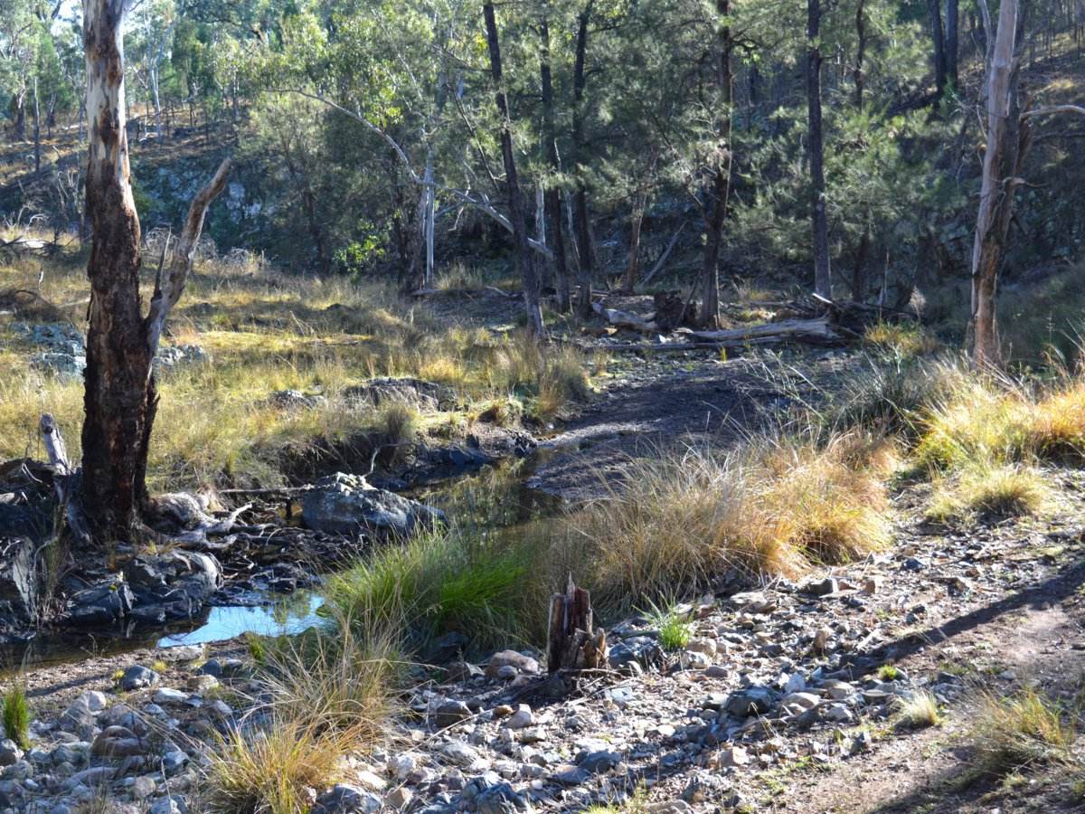 Lot 1 Hollybank Road, Inglewood For Sale by Farmbuy.com - image 13