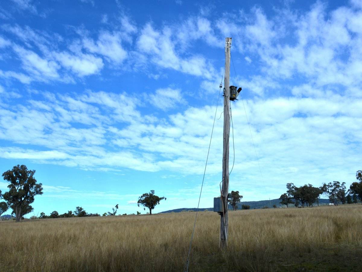 Lot 1 Hollybank Road, Inglewood For Sale by Farmbuy.com - image 6