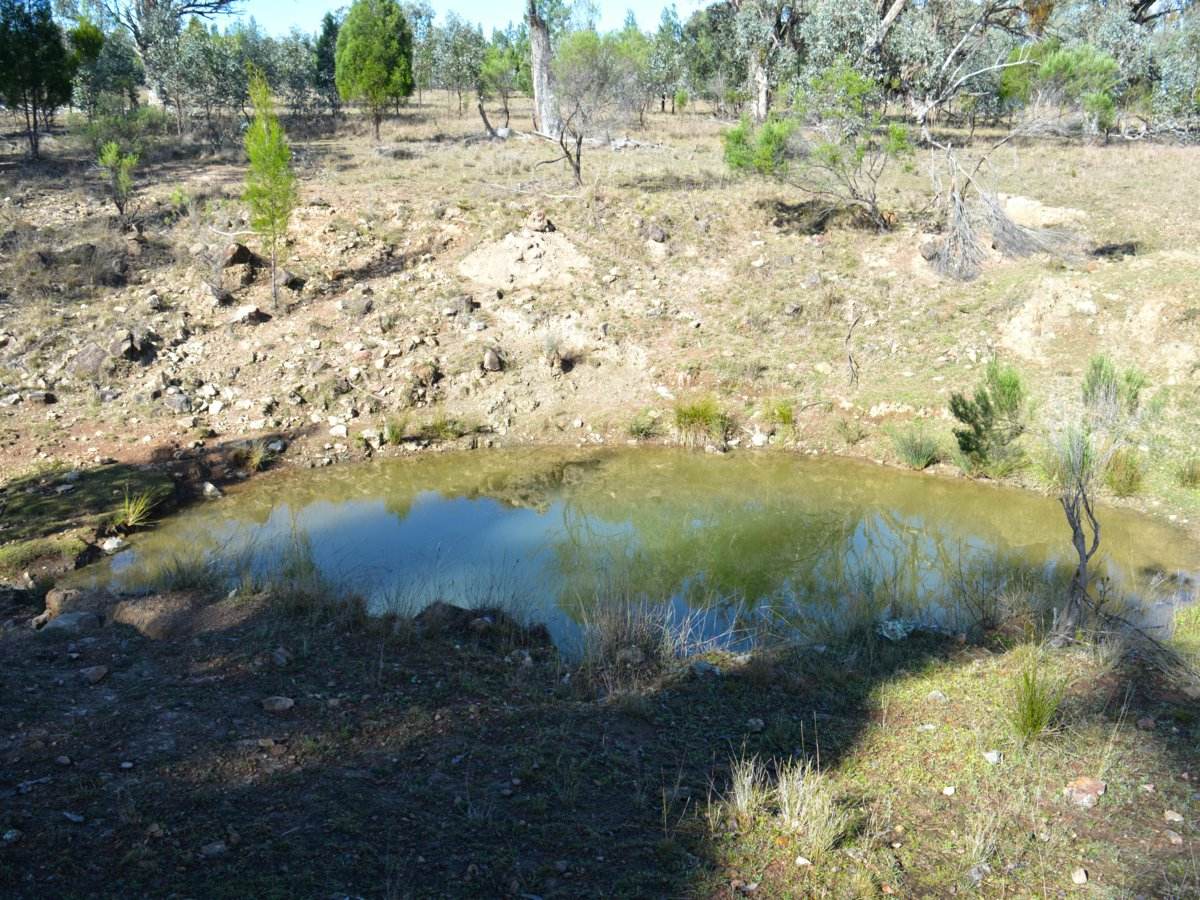 Lot 1 Hollybank Road, Inglewood For Sale by Farmbuy.com - image 17