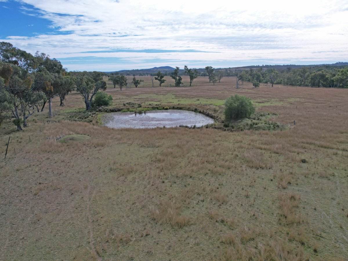 Lot 1 Hollybank Road, Inglewood For Sale by Farmbuy.com - image 2