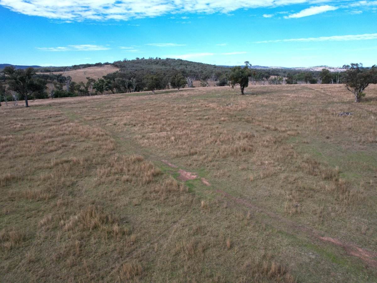 Lot 1 Hollybank Road, Inglewood For Sale by Farmbuy.com - image 3