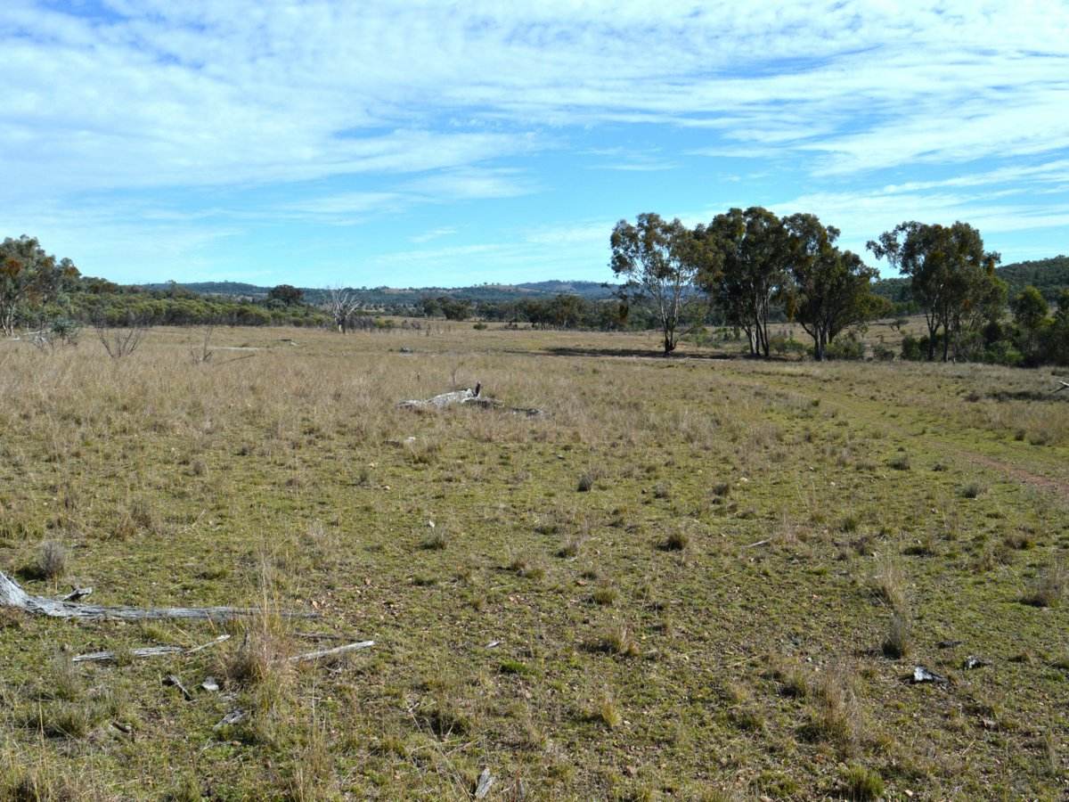 Lot 1 Hollybank Road, Inglewood For Sale by Farmbuy.com - image 18