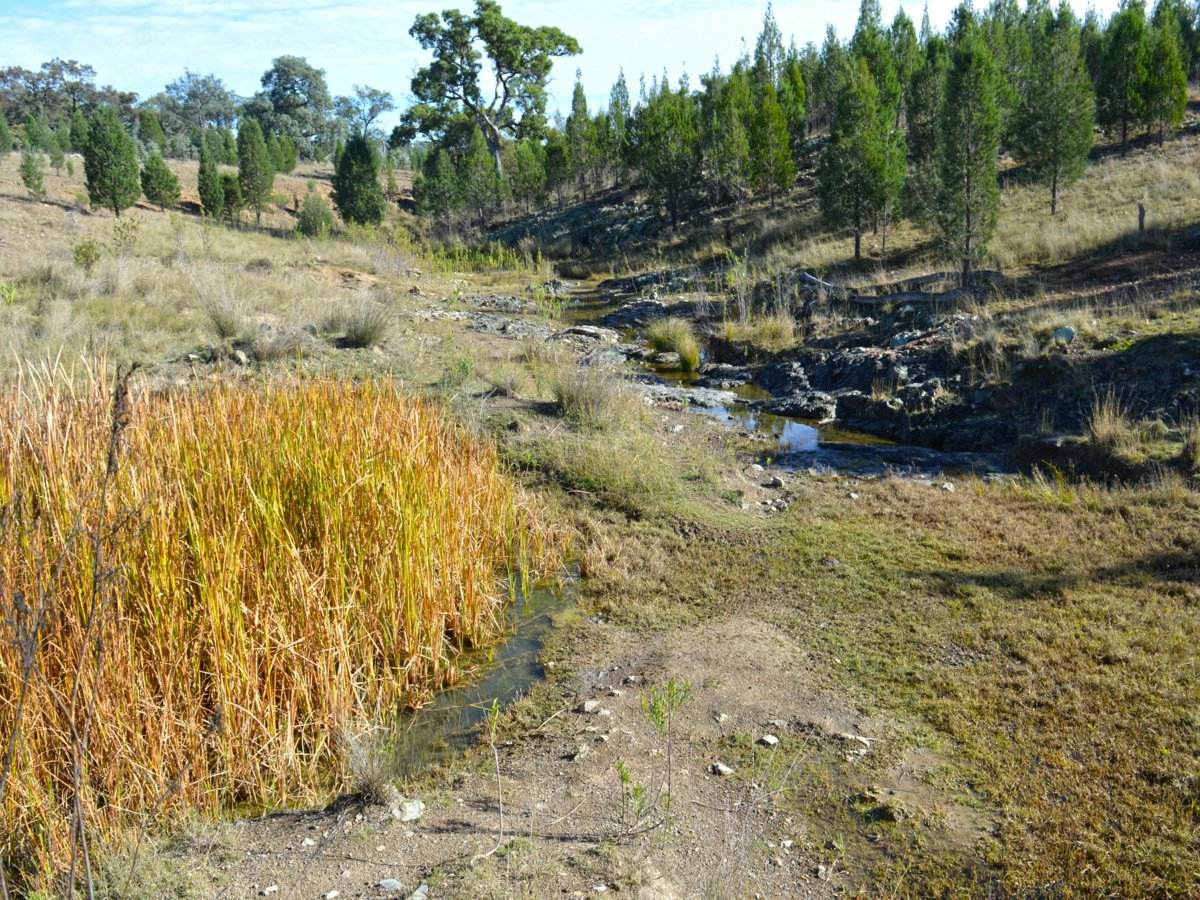 Lot 1 Hollybank Road, Inglewood For Sale by Farmbuy.com - image 15