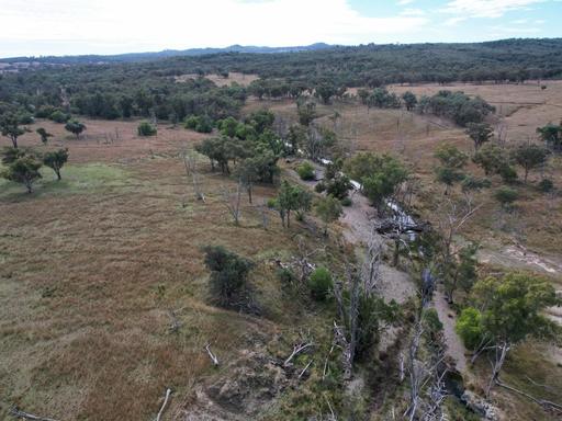 Farm For Sale - QLD - Inglewood - 4387 - Open Grazing Country Warroo area 