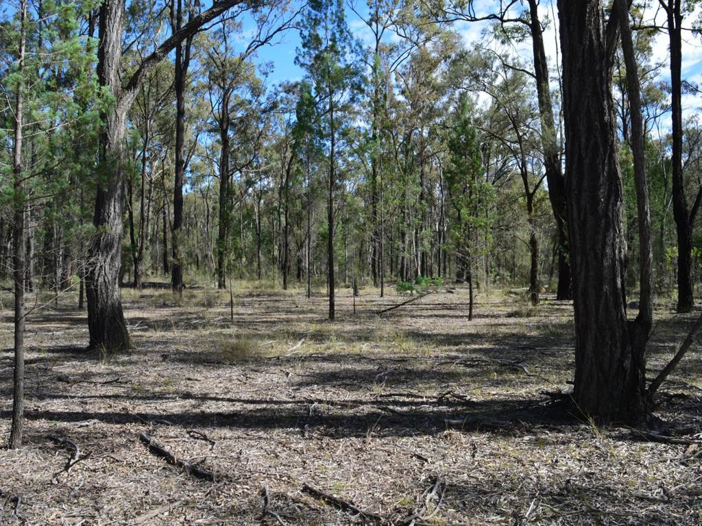 Lot 17 The Hut Road, Inglewood QLD 4387