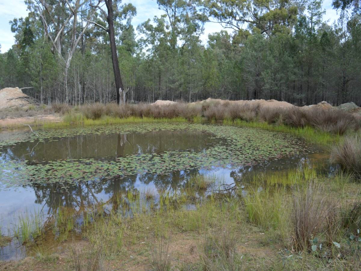Lot 17 The Hut Road, Inglewood For Sale by Farmbuy.com - image 5