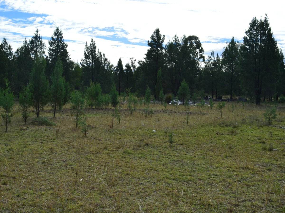 Lot 17 The Hut Road, Inglewood For Sale by Farmbuy.com - image 3