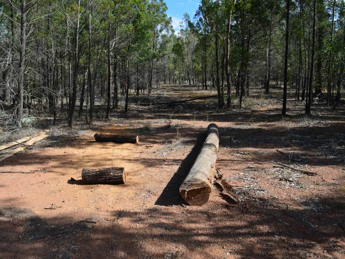 Lot 17 The Hut Road, Inglewood For Sale by Farmbuy.com - image 6