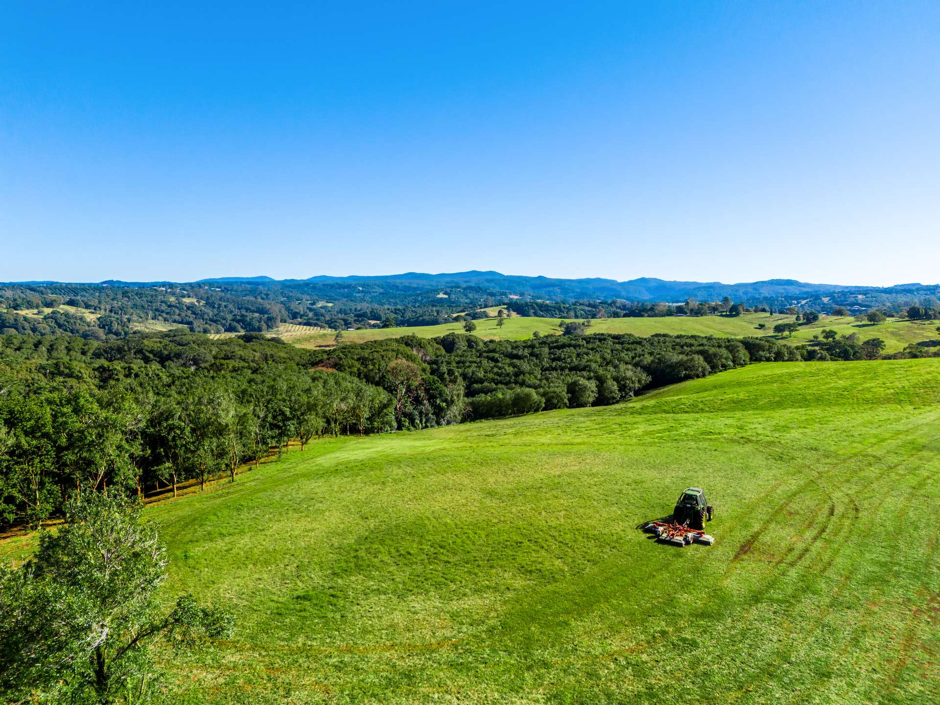 34 Bencluna Lane, Eureka Auction by Farmbuy.com - image 7