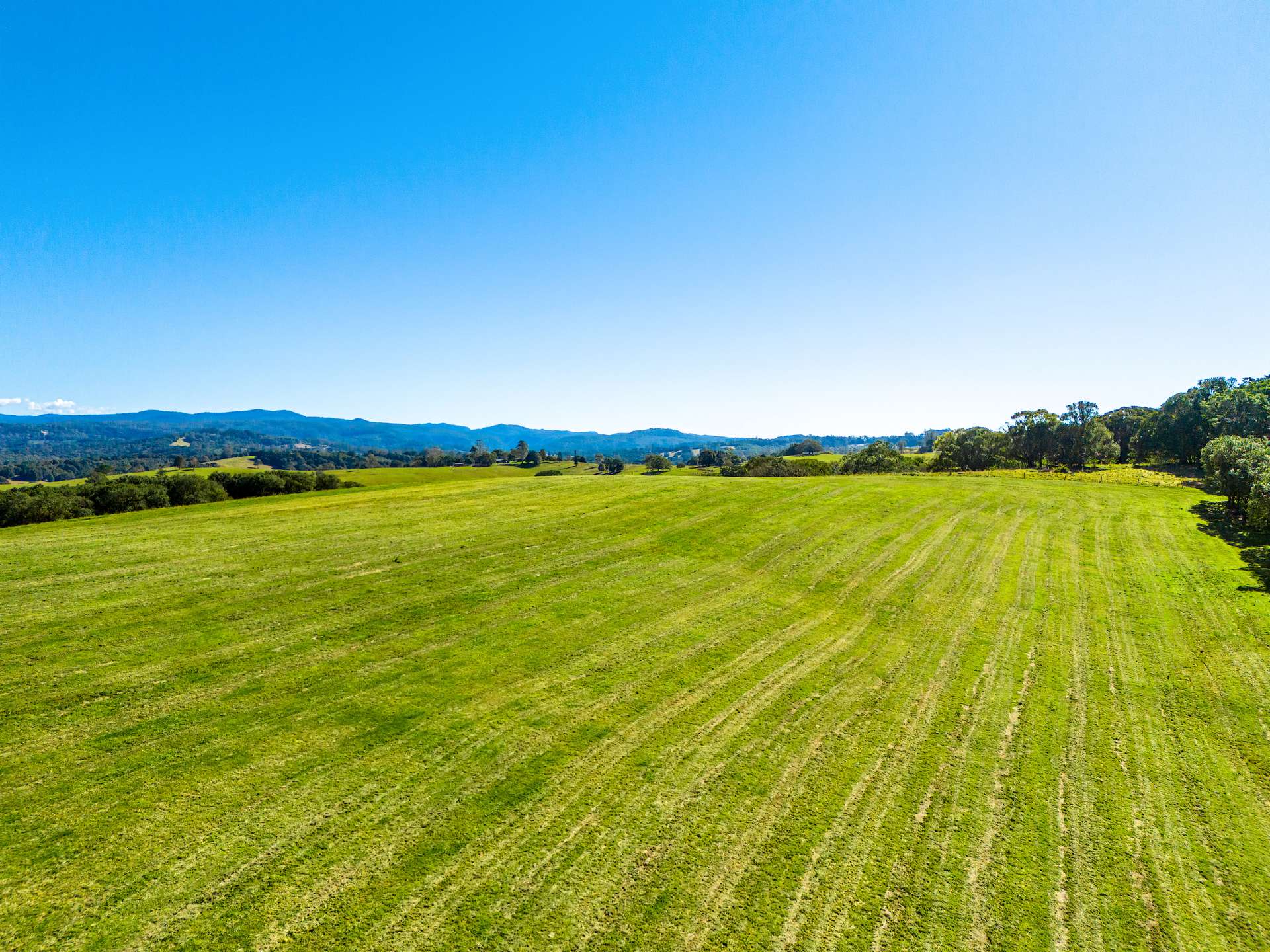 34 Bencluna Lane, Eureka Auction by Farmbuy.com - image 5