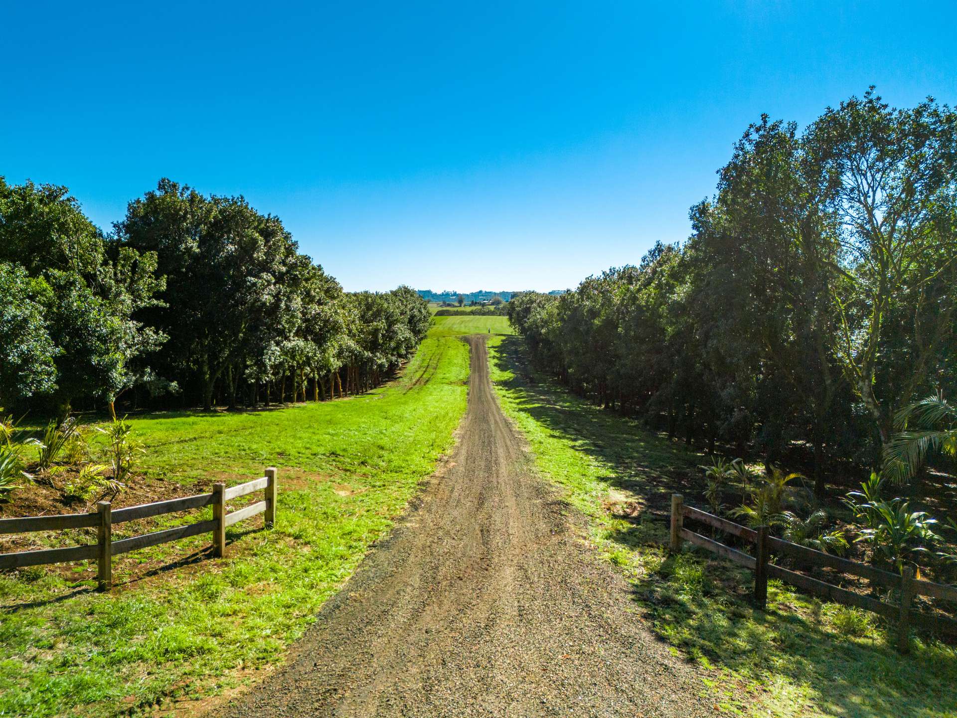 34 Bencluna Lane, Eureka Auction by Farmbuy.com - image 1