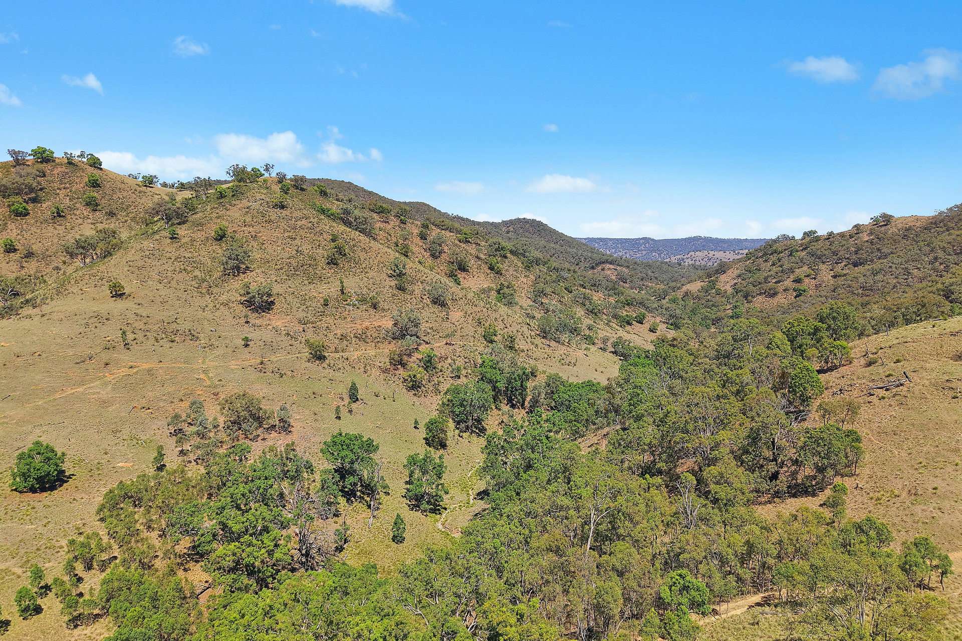 305 Yarrabin Road, Mudgee Auction by Farmbuy.com - image 12