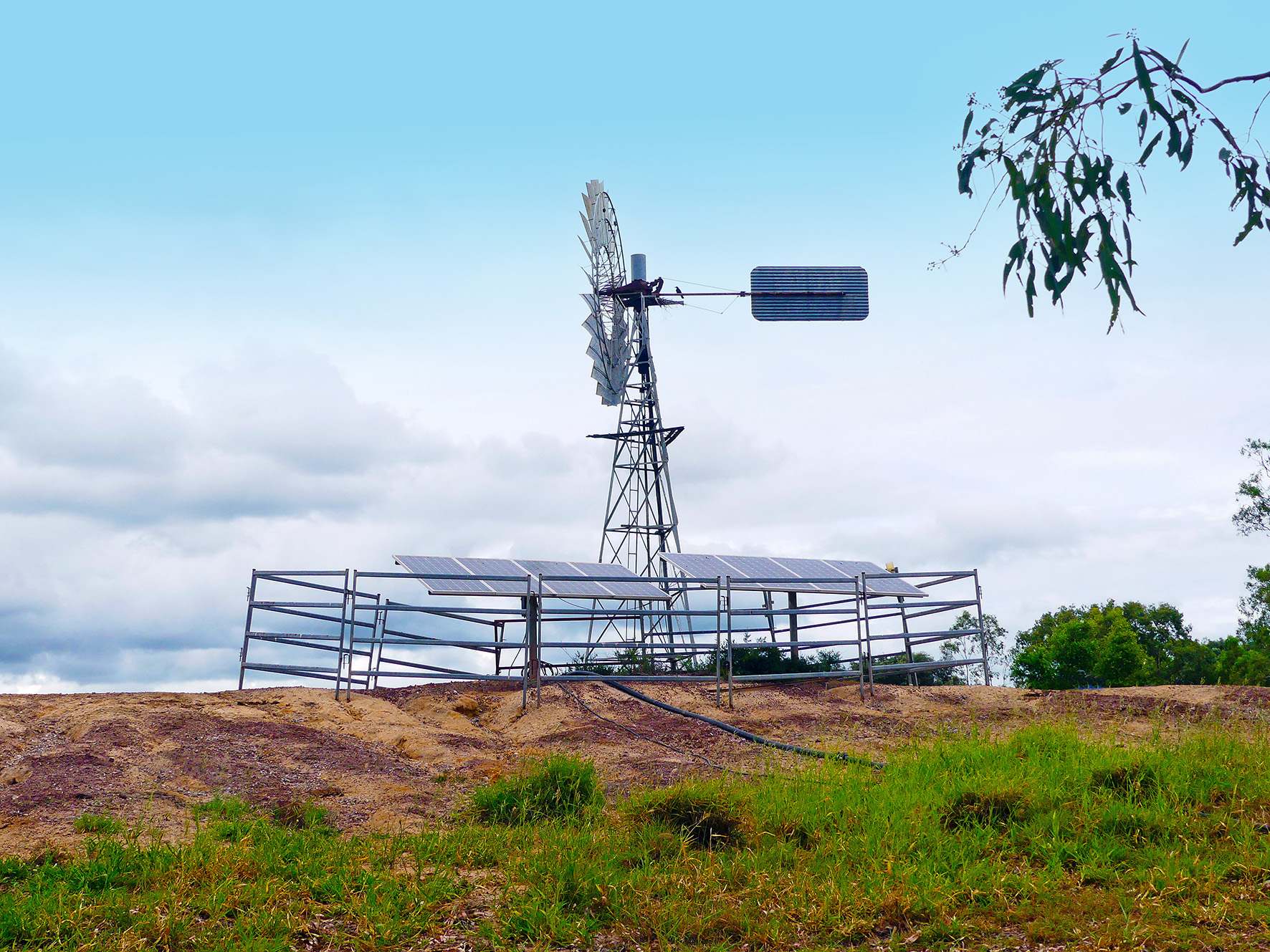 1467 Pasha Road, Pasha Tender by Farmbuy.com - image 10