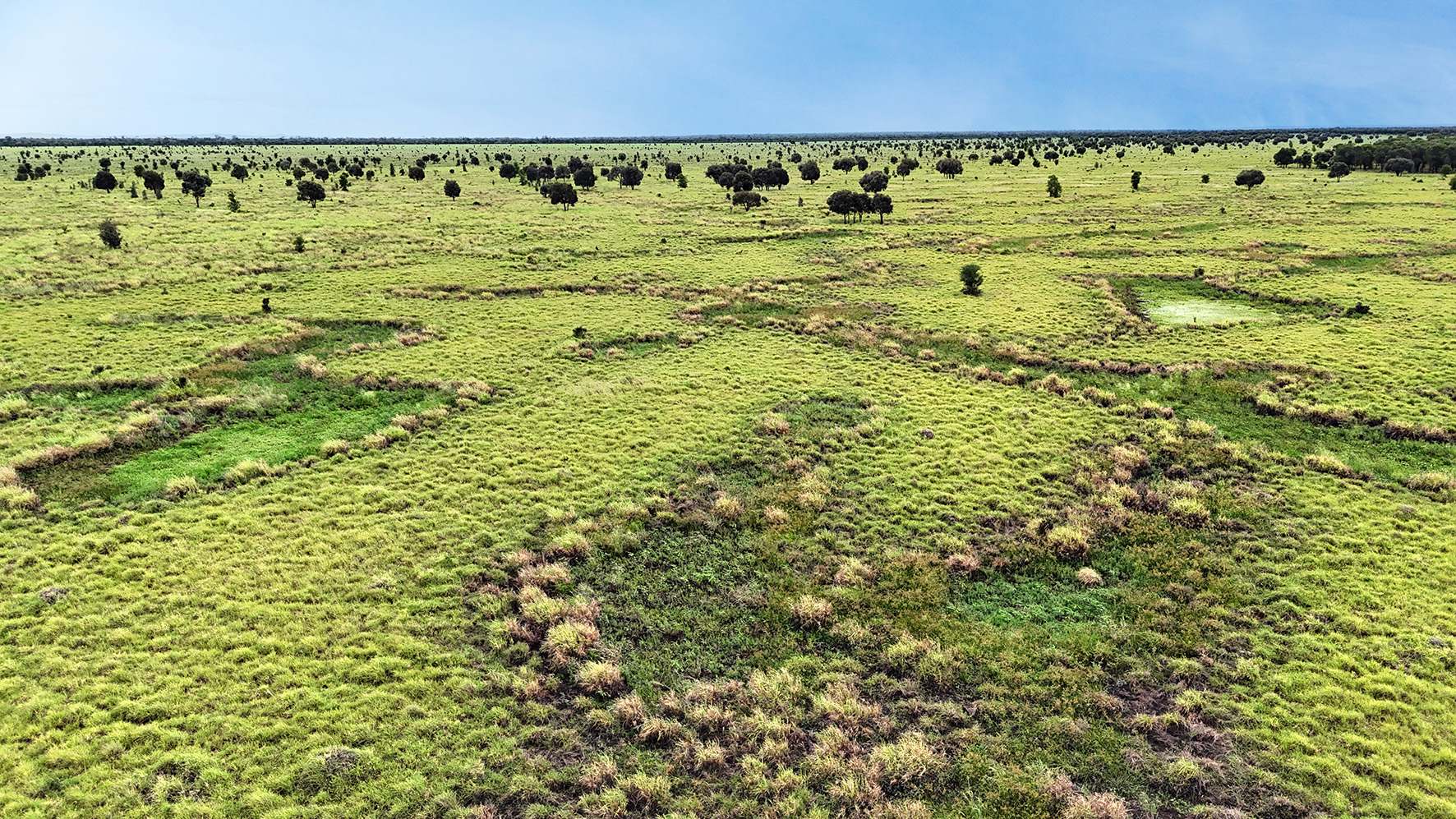 1467 Pasha Road, Pasha Tender by Farmbuy.com - image 7