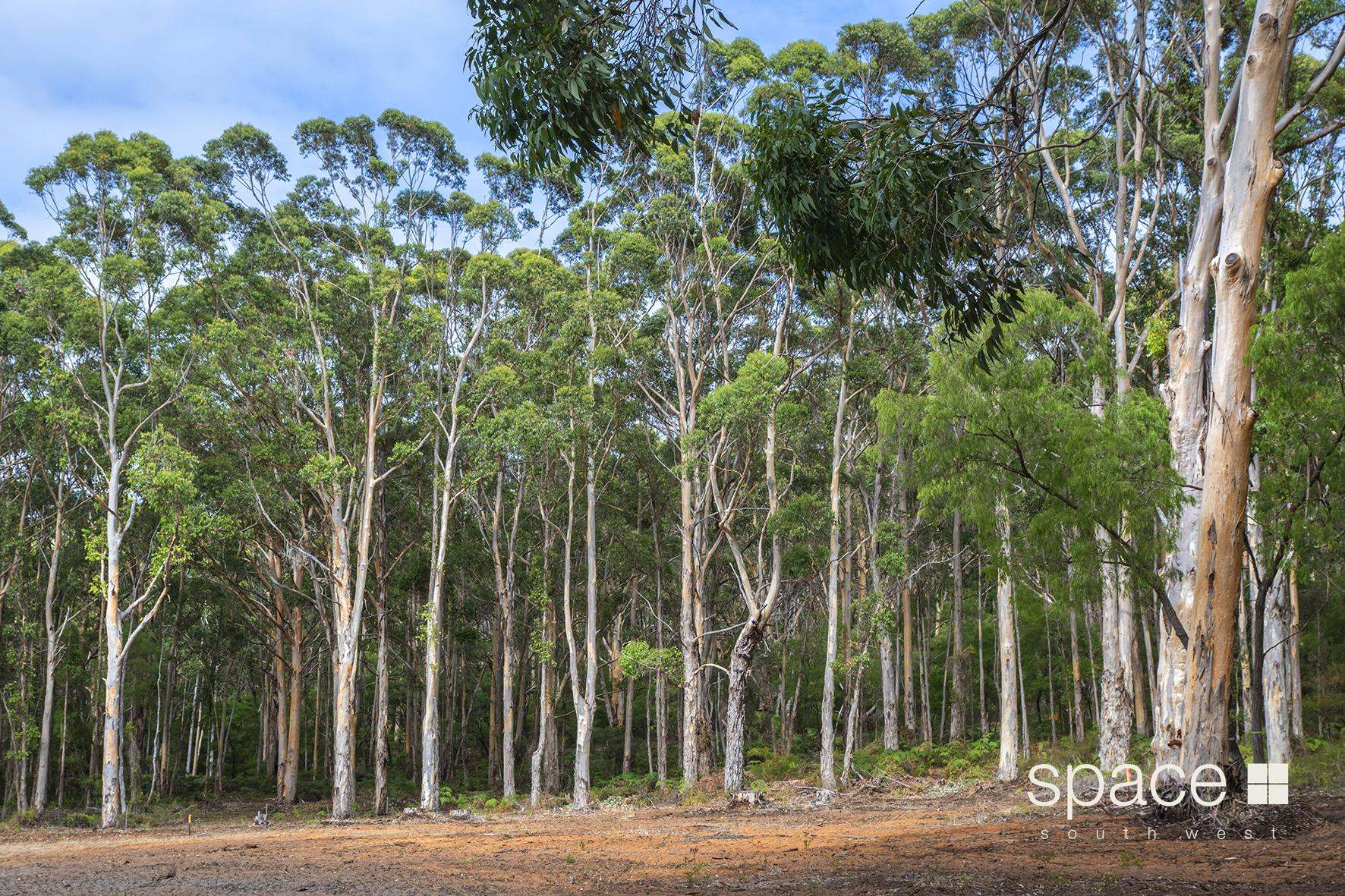Lot 101,  Bushby Road, Karridale For Sale by Farmbuy.com - image 4