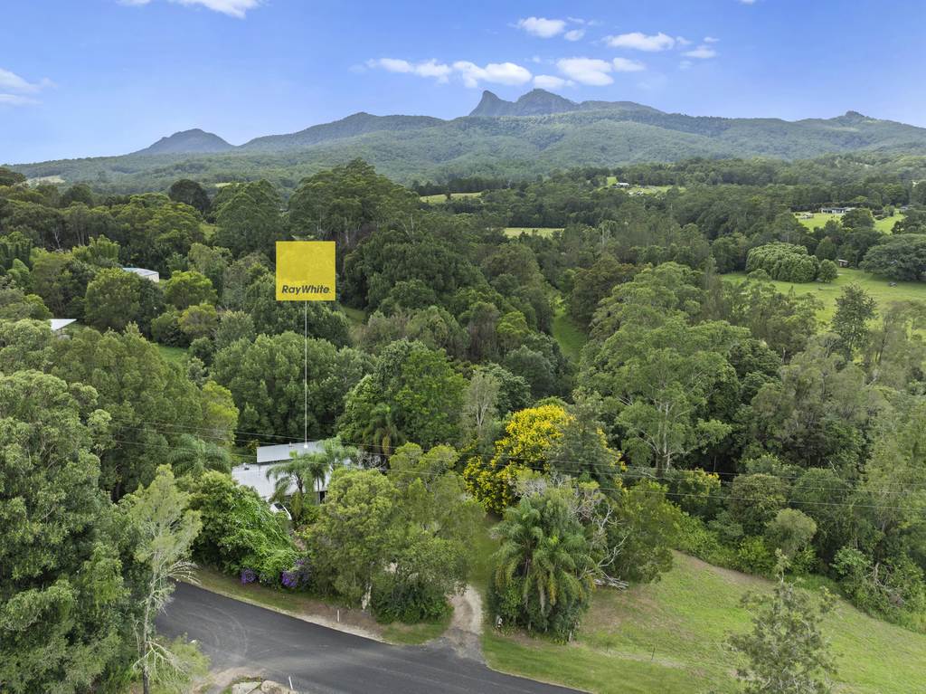 111 Brays Creek Road, Tyalgum NSW 2484