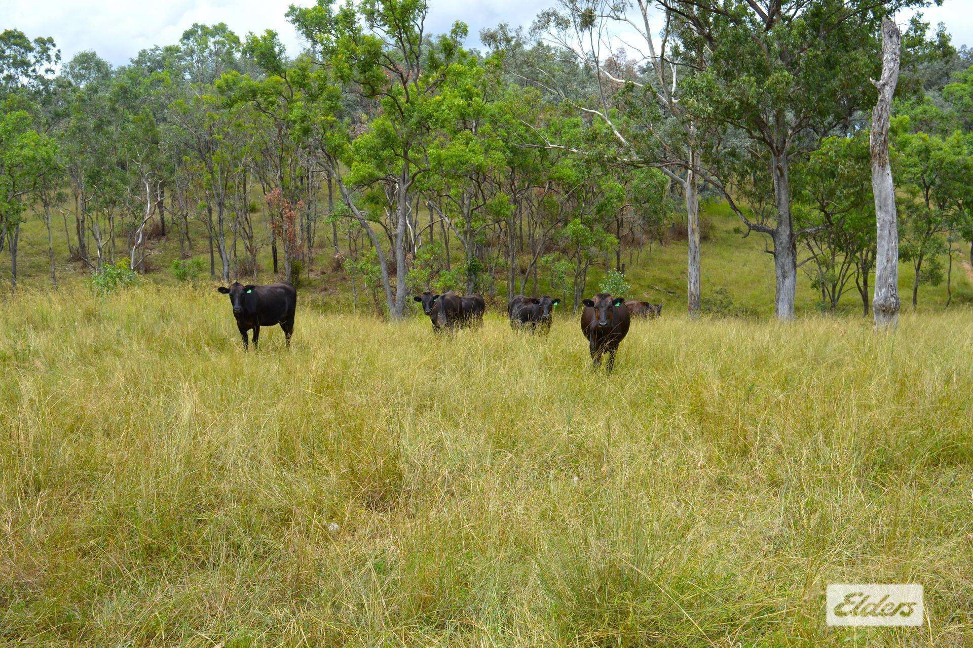 10 Razorback Creek Road, Rivertree For Sale by Farmbuy.com - image 13
