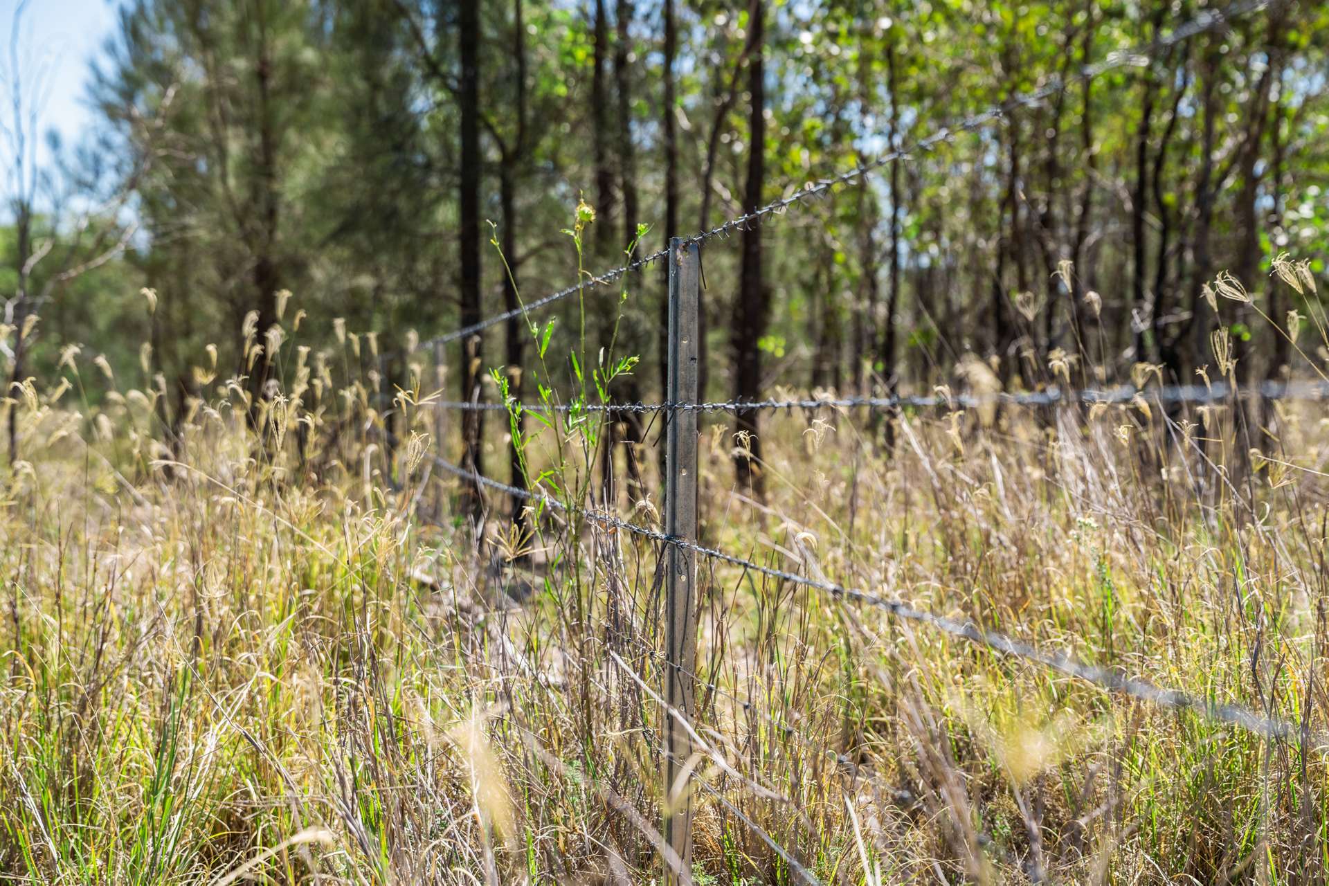 Lot 2 Sprints Drive, Leyburn For Sale by Farmbuy.com - image 18