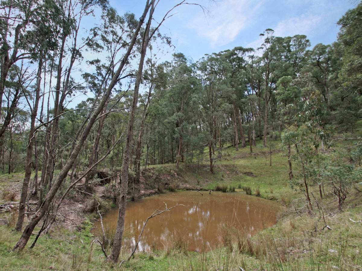 135 Kangaroo Track, Omeo For Sale by Farmbuy.com - image 8