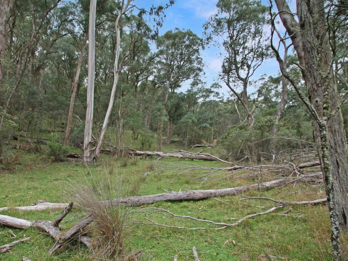 135 Kangaroo Track, Omeo For Sale by Farmbuy.com - image 7