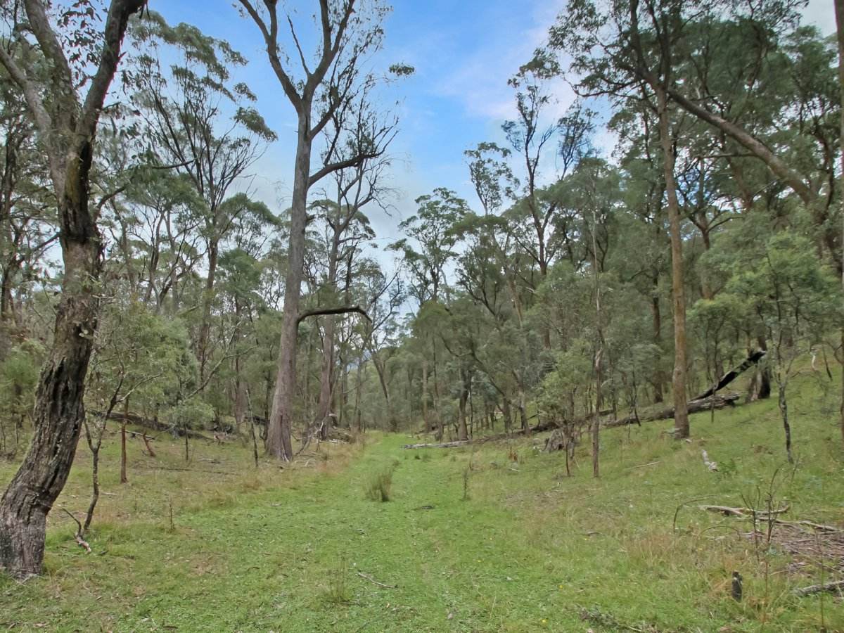 135 Kangaroo Track, Omeo For Sale by Farmbuy.com - image 2