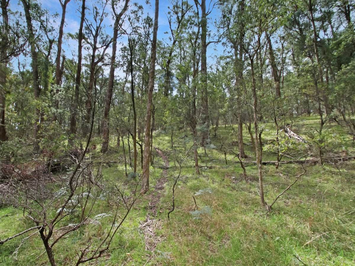 135 Kangaroo Track, Omeo For Sale by Farmbuy.com - image 3