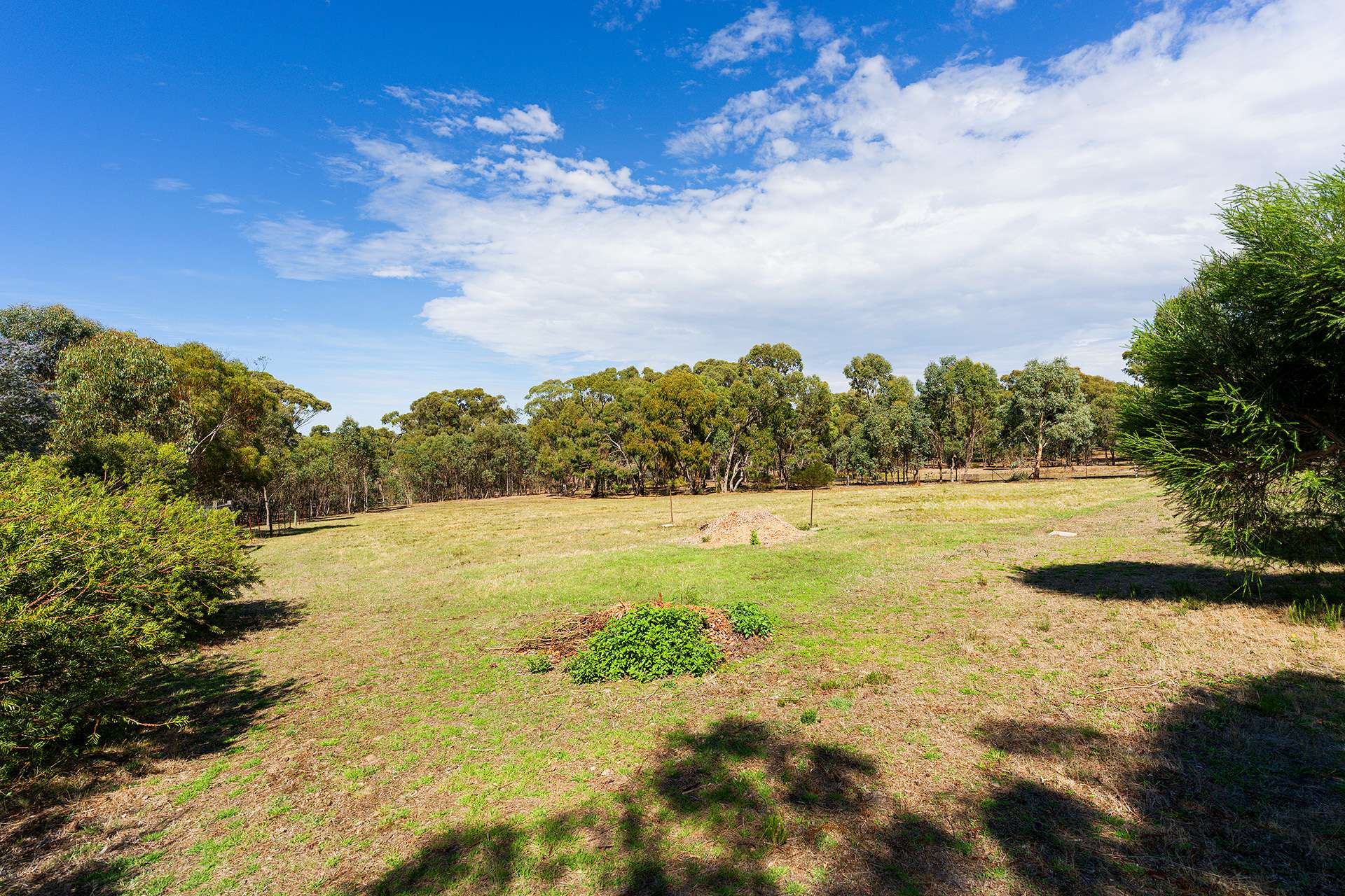 11 Nelson Street, Maldon For Sale by Farmbuy.com - image 15