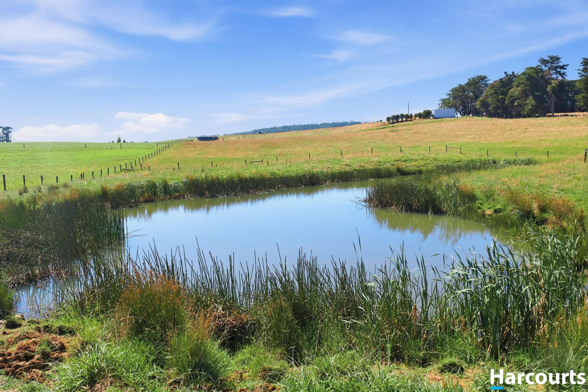 8 Stubbers Lane, Mirboo North Auction by Farmbuy.com - image 12