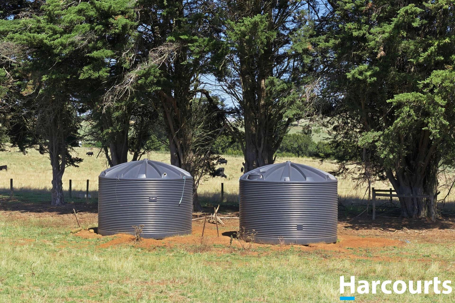 8 Stubbers Lane, Mirboo North Auction by Farmbuy.com - image 28