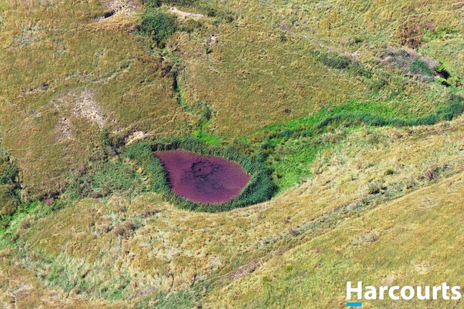 8 Stubbers Lane, Mirboo North Auction by Farmbuy.com - image 26