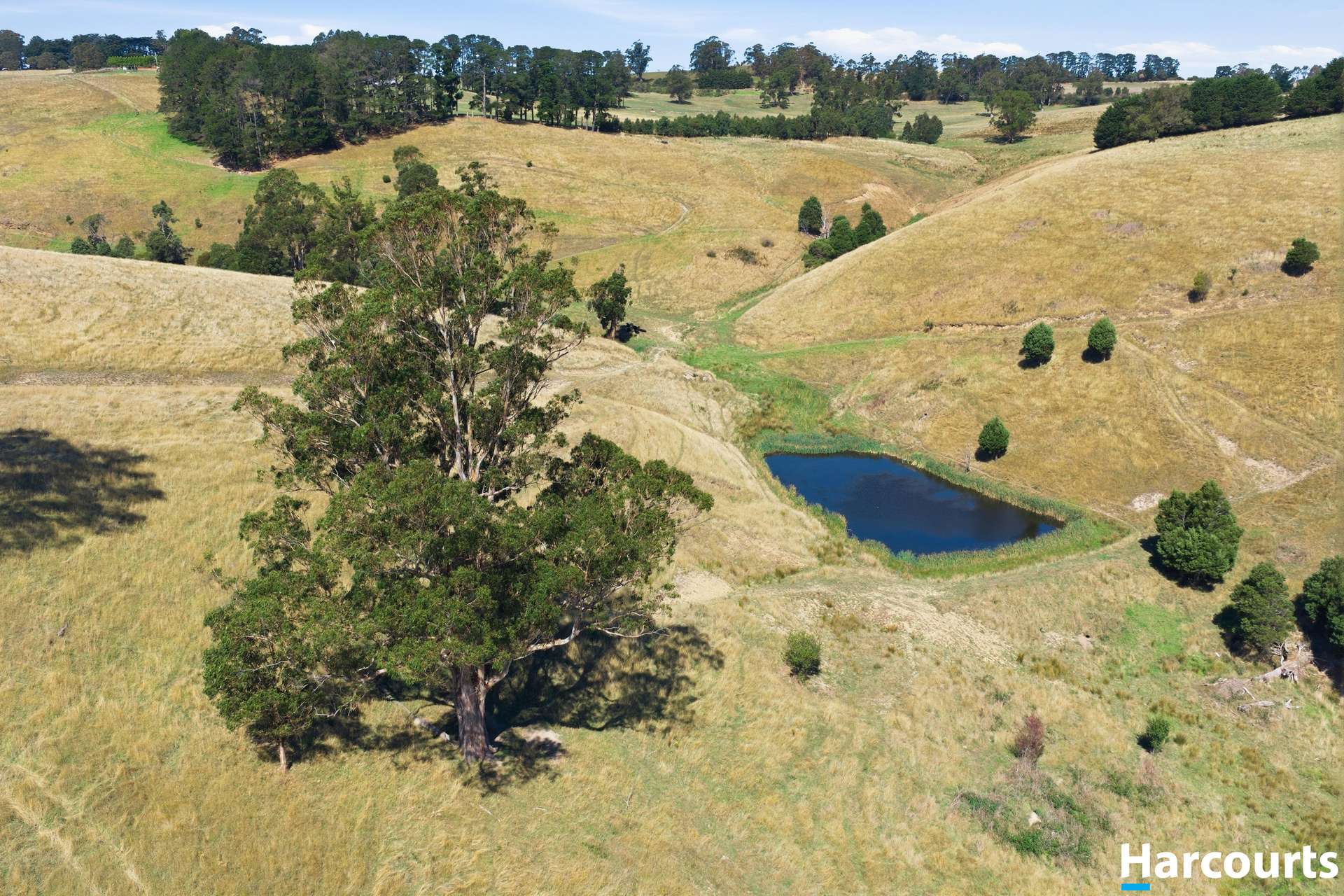 8 Stubbers Lane, Mirboo North Auction by Farmbuy.com - image 16