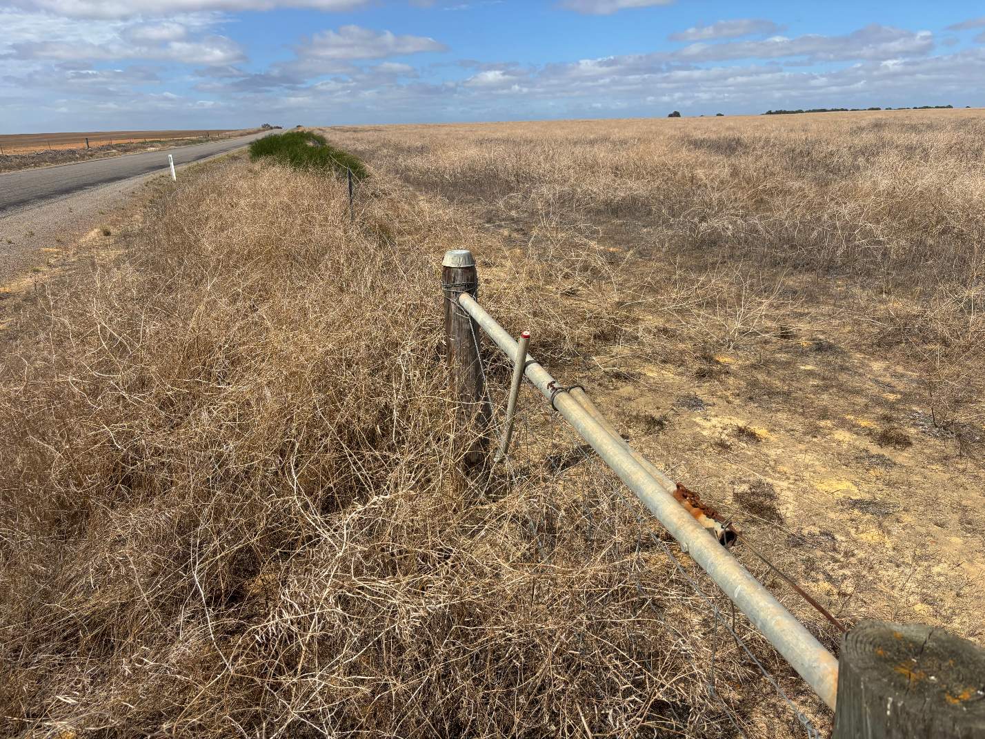 Lot 9678 Geraldton Mount Magnet Road, Wicherina For Sale by Farmbuy.com - image 4