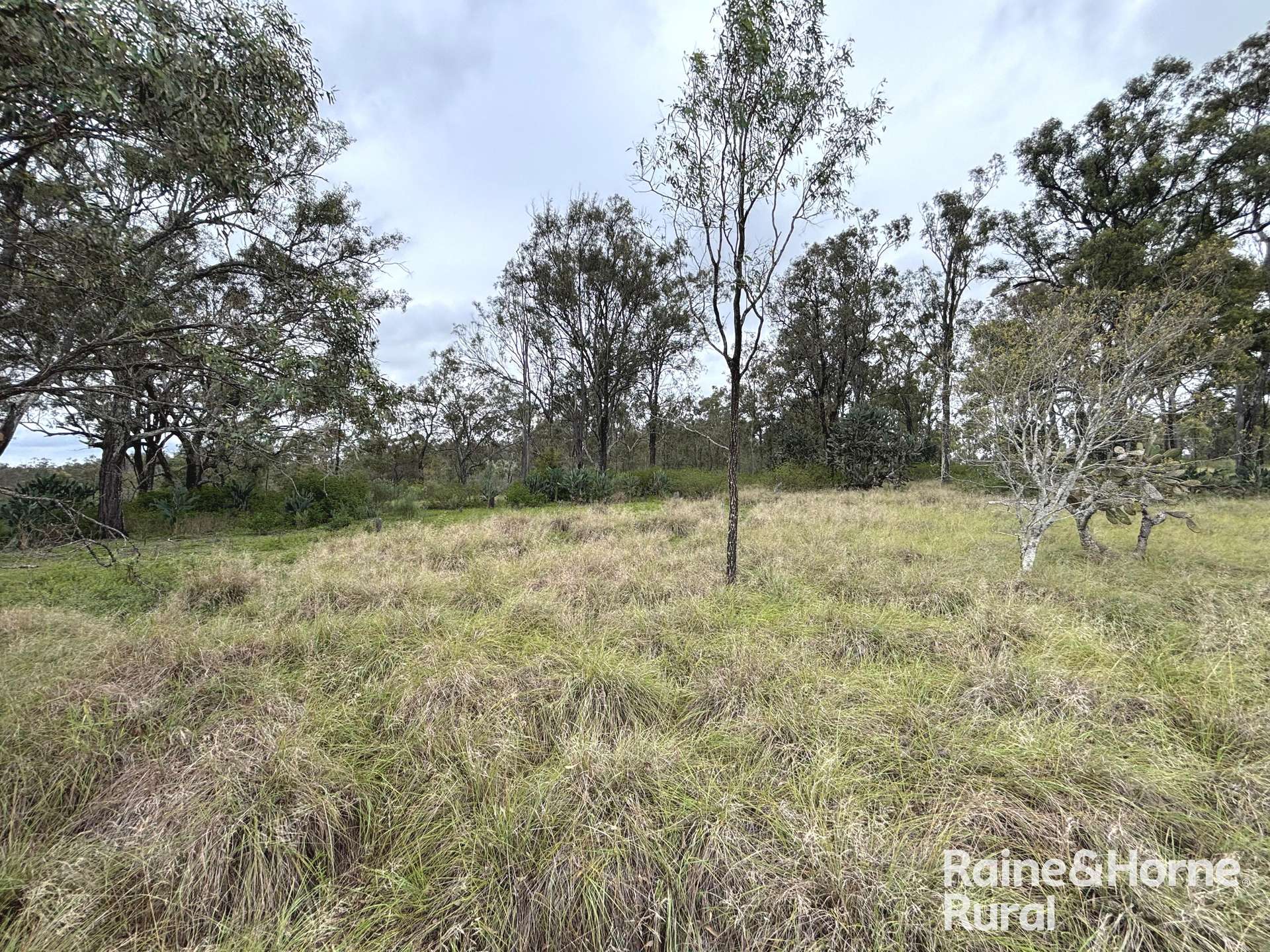 Lot 2 Kunioon Road, Kunioon For Sale by Farmbuy.com - image 19