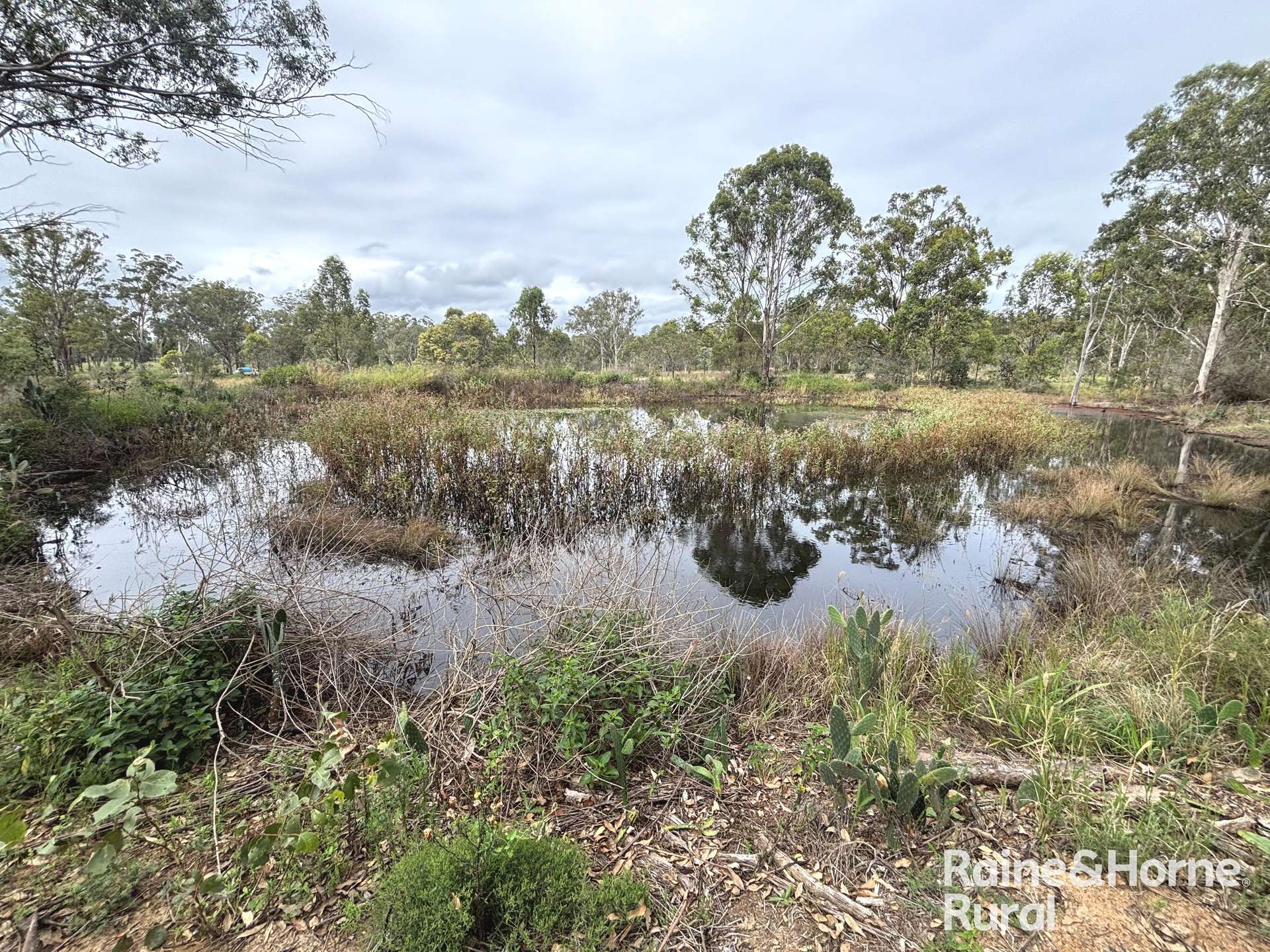 Lot 2 Kunioon Road, Kunioon For Sale by Farmbuy.com - image 2