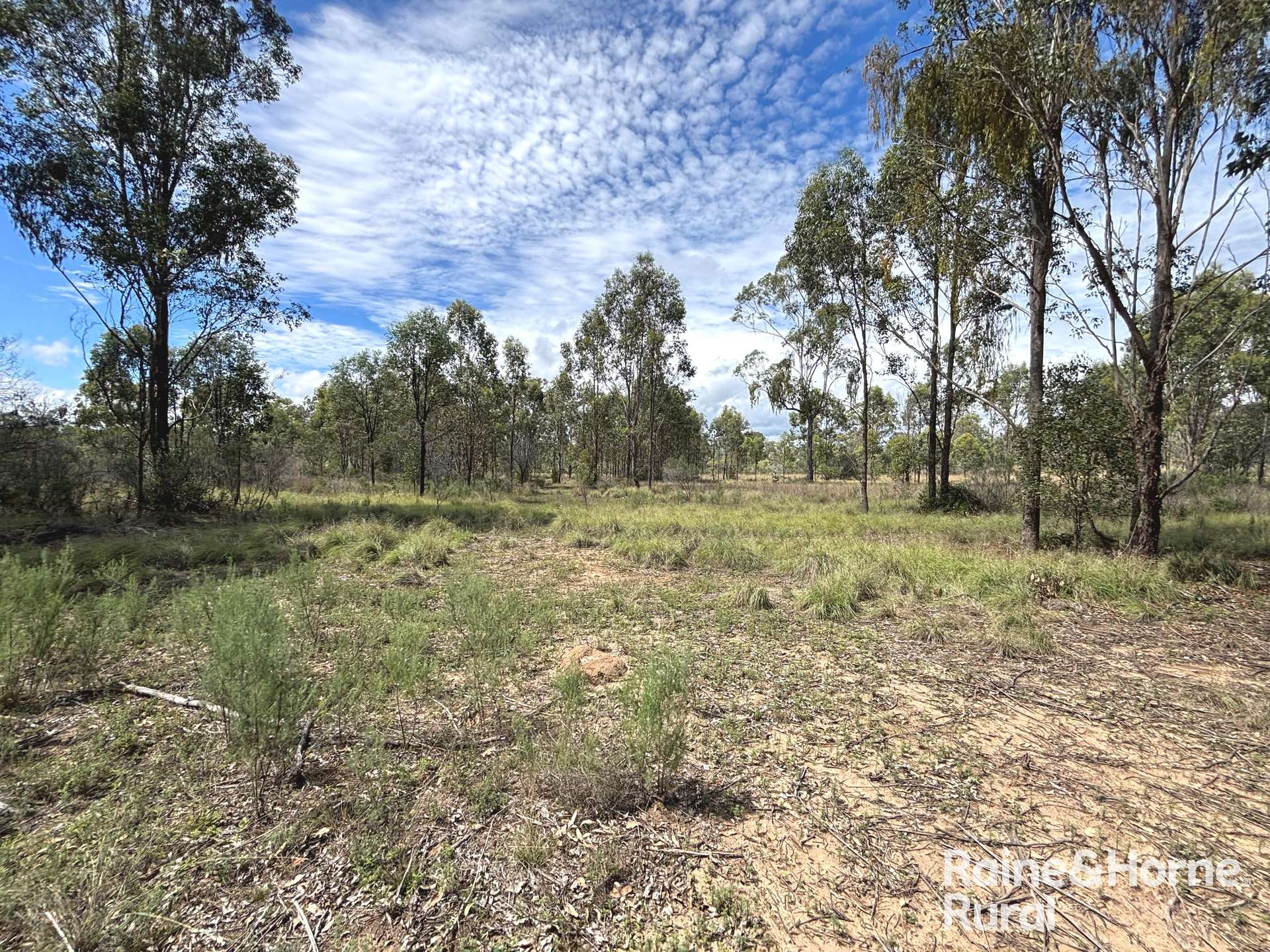 Lot 5 Kunioon Road, Kunioon For Sale by Farmbuy.com - image 6