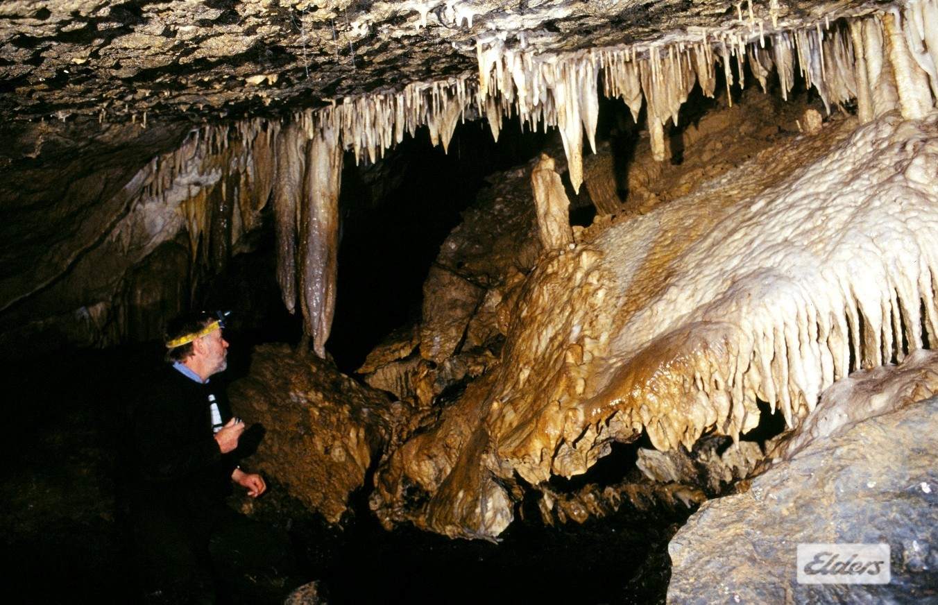 1519 Loongana Road, Loongana For Sale by Farmbuy.com - image 23