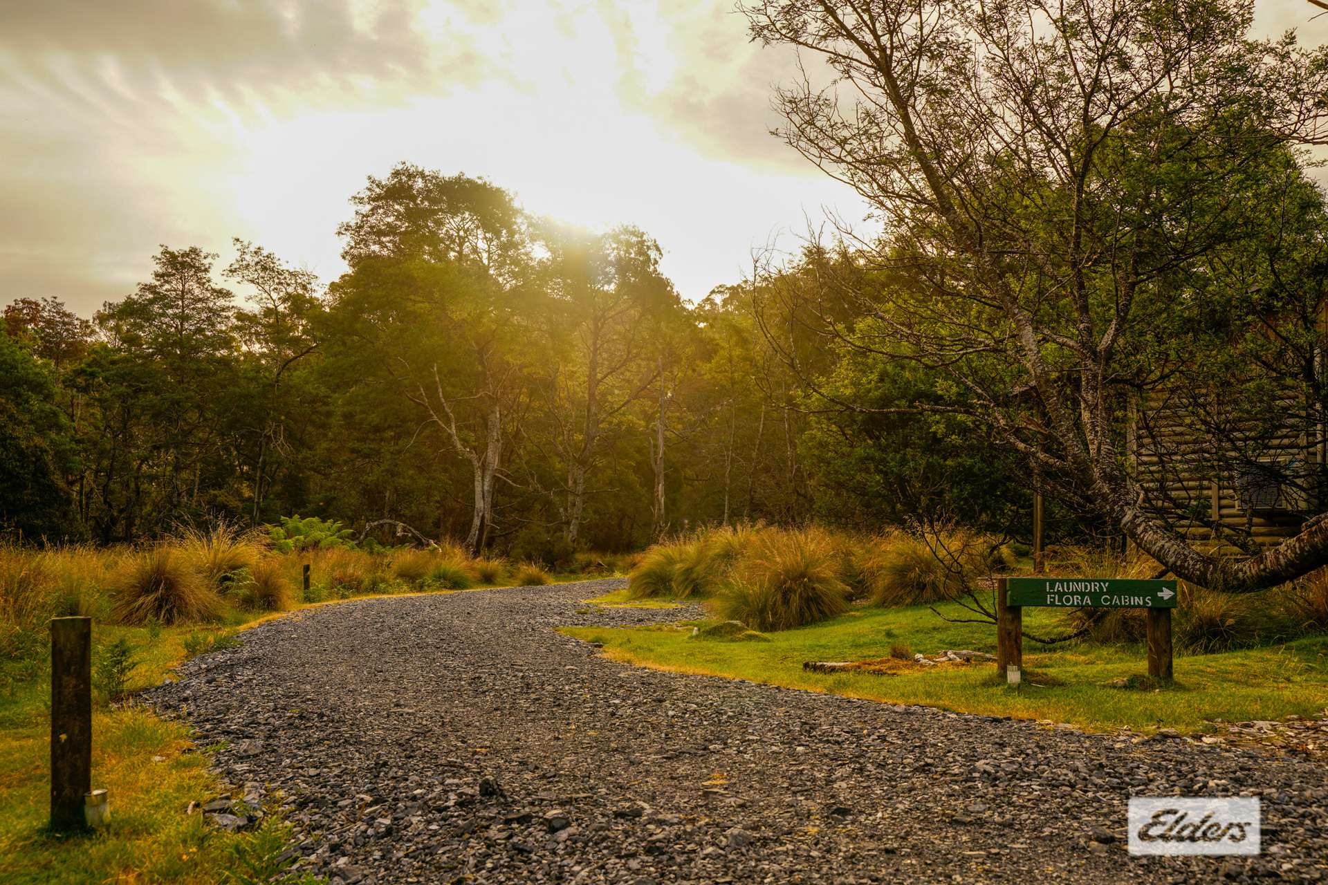 1519 Loongana Road, Loongana For Sale by Farmbuy.com - image 4