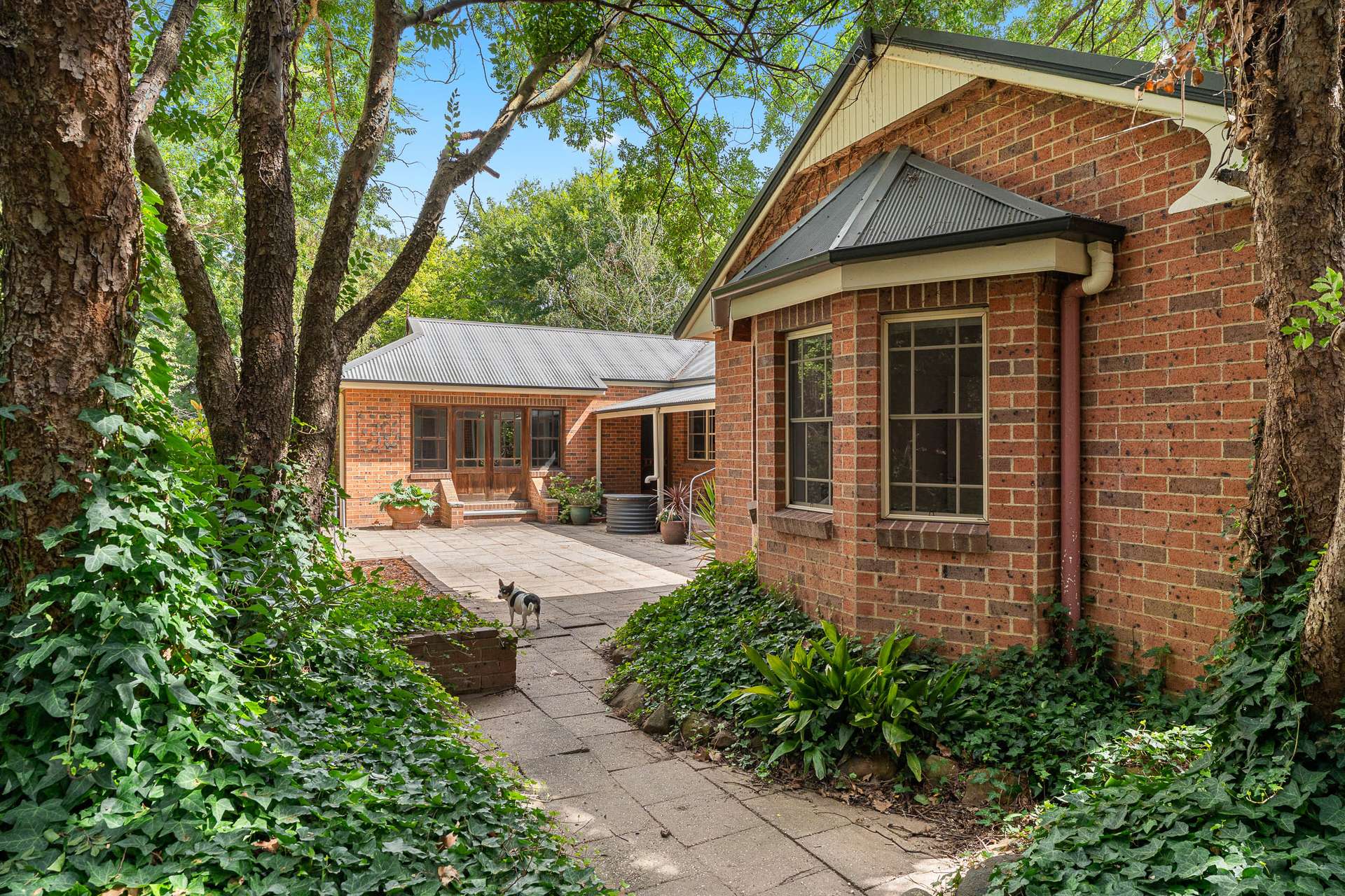 296 Mountain Ash Road, Gundary Via, Goulburn Auction by Farmbuy.com - image 13