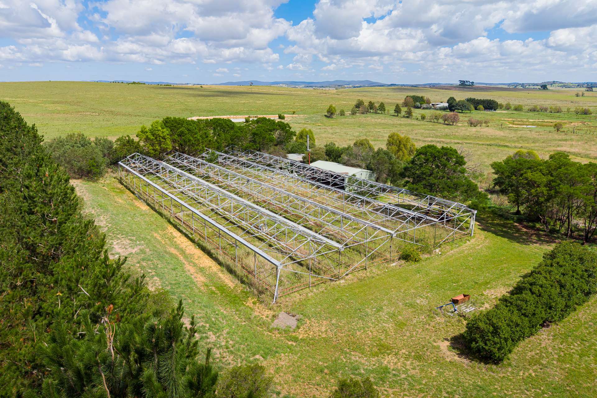 296 Mountain Ash Road, Gundary Via, Goulburn Auction by Farmbuy.com - image 24