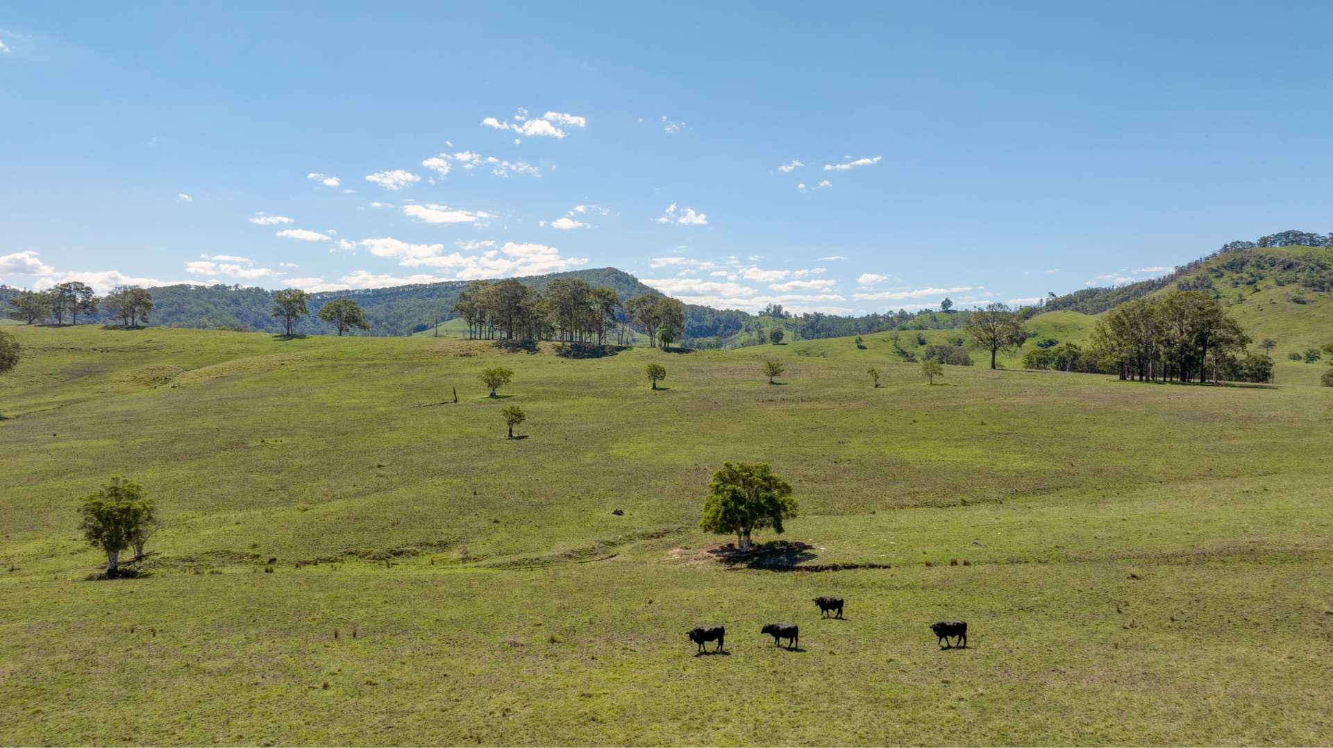 1993 Glendonbrook Road, Gresford For Sale by Farmbuy.com - image 12