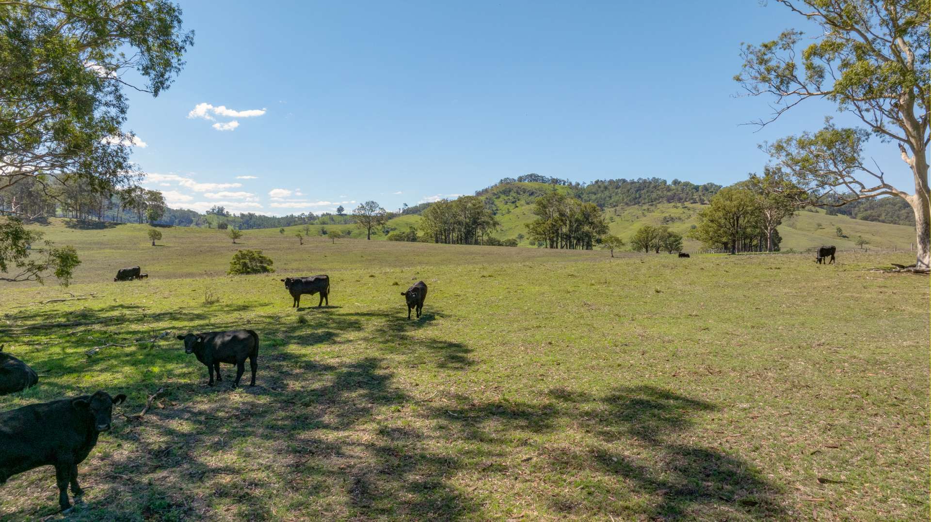 1993 Glendonbrook Road, Gresford For Sale by Farmbuy.com - image 13
