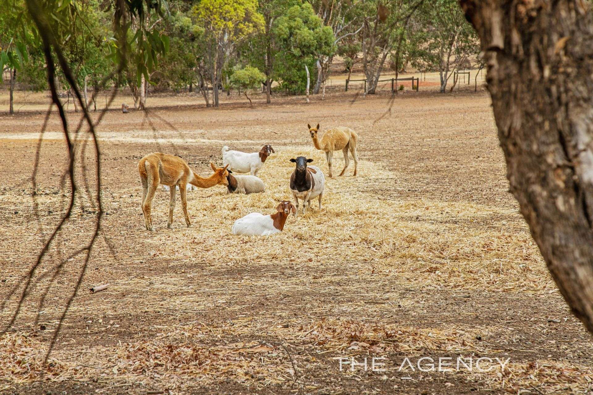 61 Gaden Road, Wundowie For Sale by Farmbuy.com - image 35
