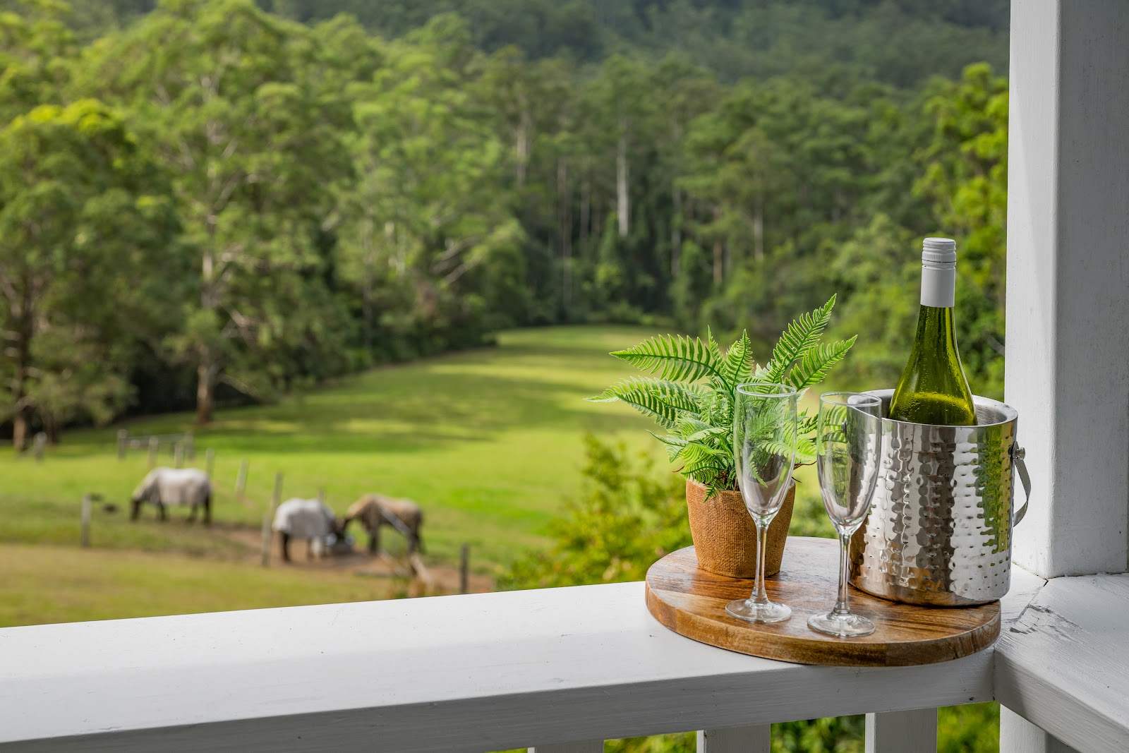 395 Waitui Road, Waitui For Sale by Farmbuy.com - image 31