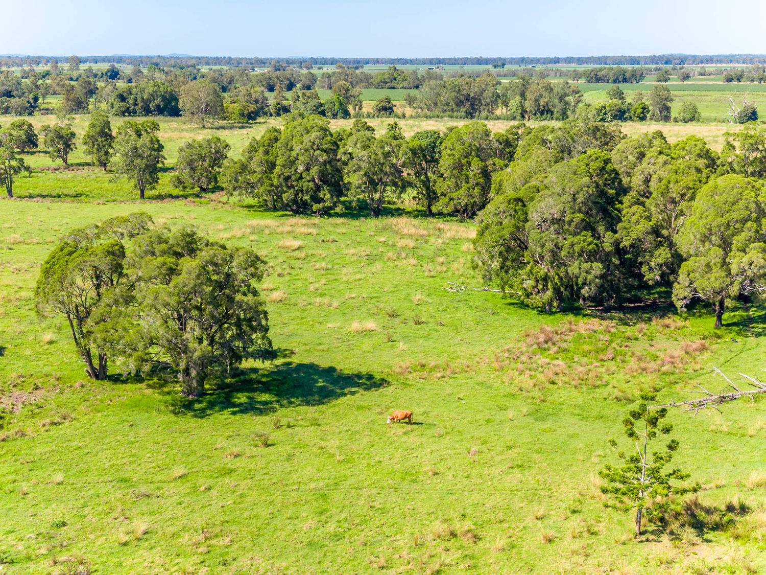 35 McNaughtons Lane Irvington Via, Casino For Sale by Farmbuy.com - image 8