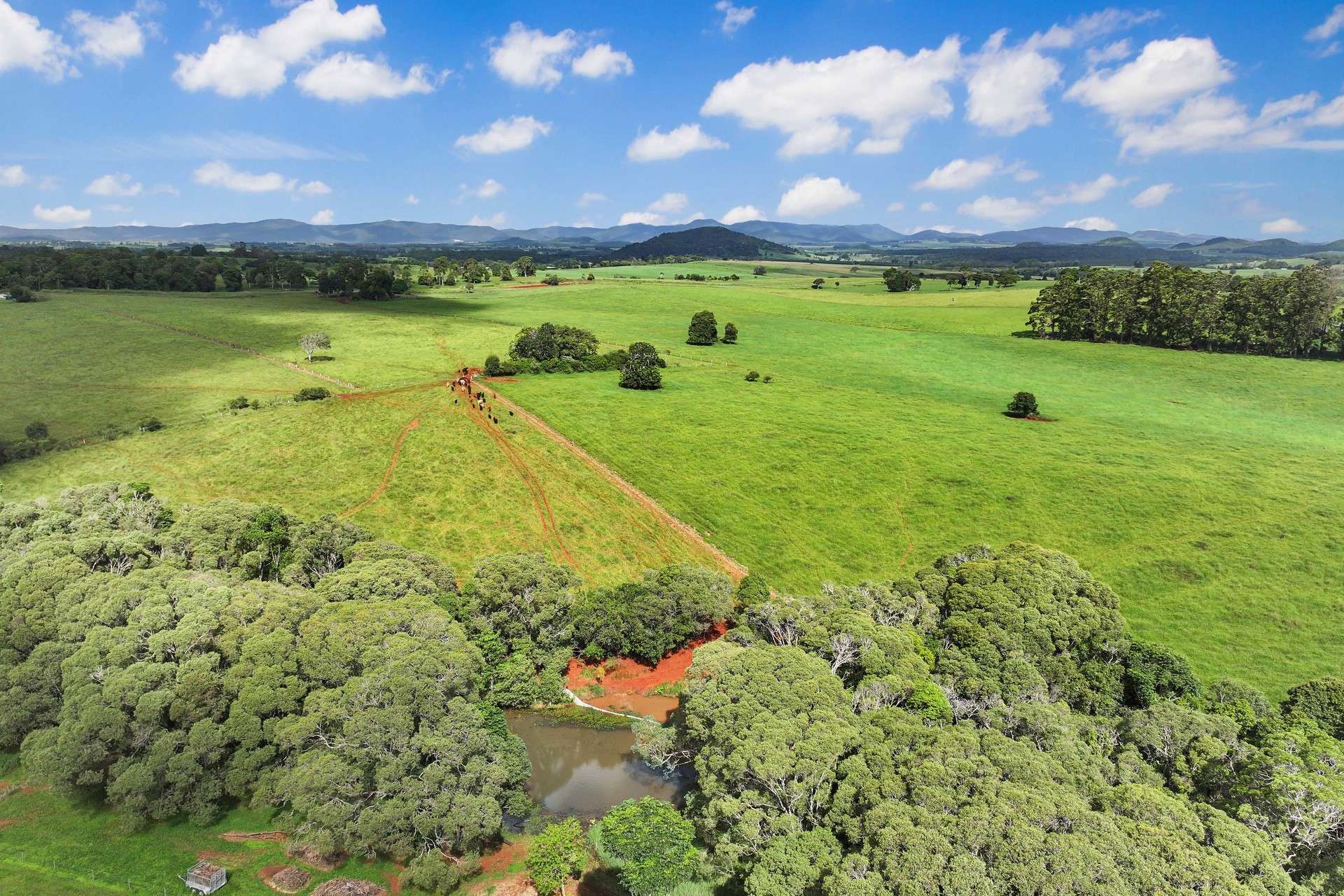 Lot 2 Lake Barrine Road, Lake Eacham For Sale by Farmbuy.com - image 4