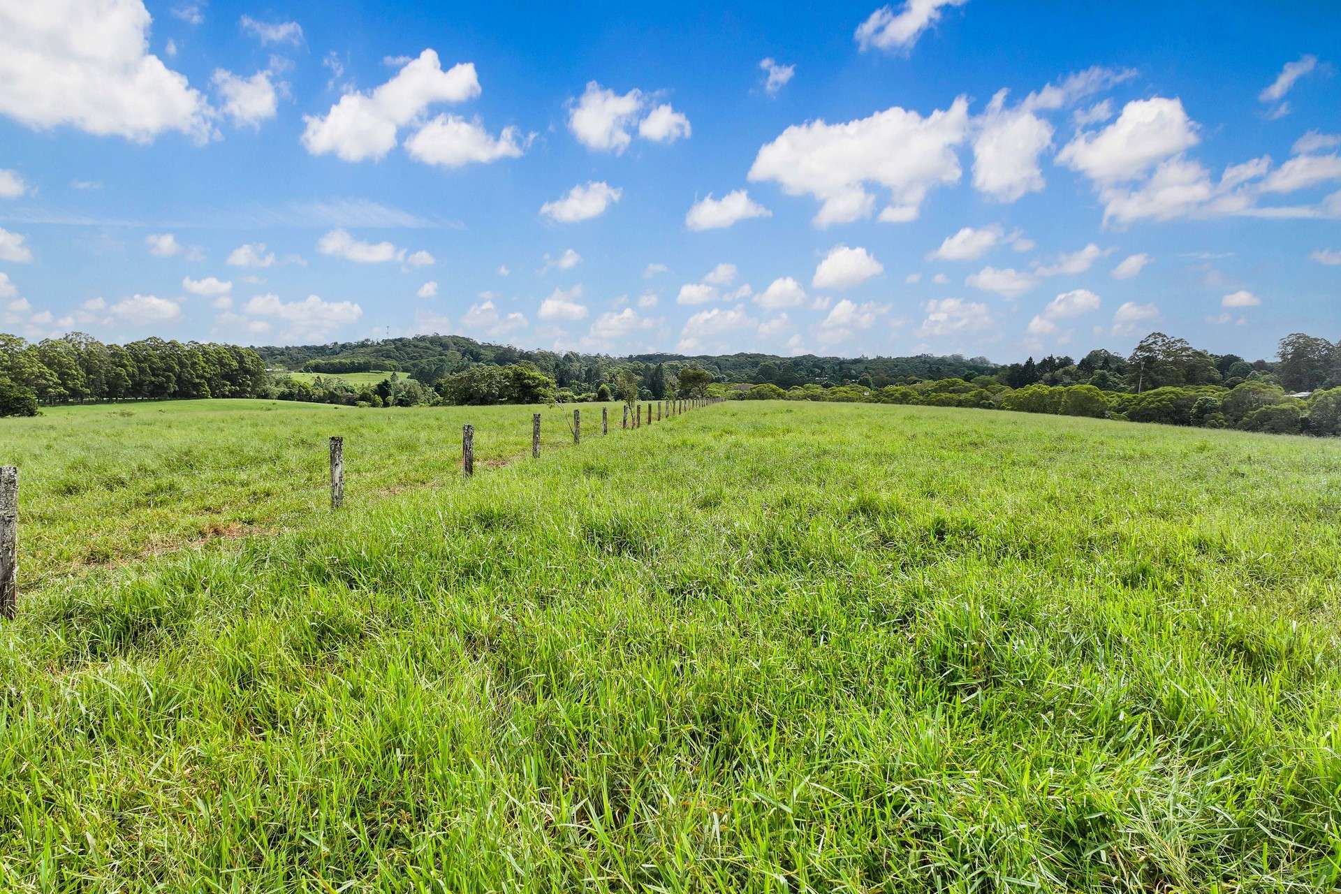 Lot 2 Lake Barrine Road, Lake Eacham For Sale by Farmbuy.com - image 6