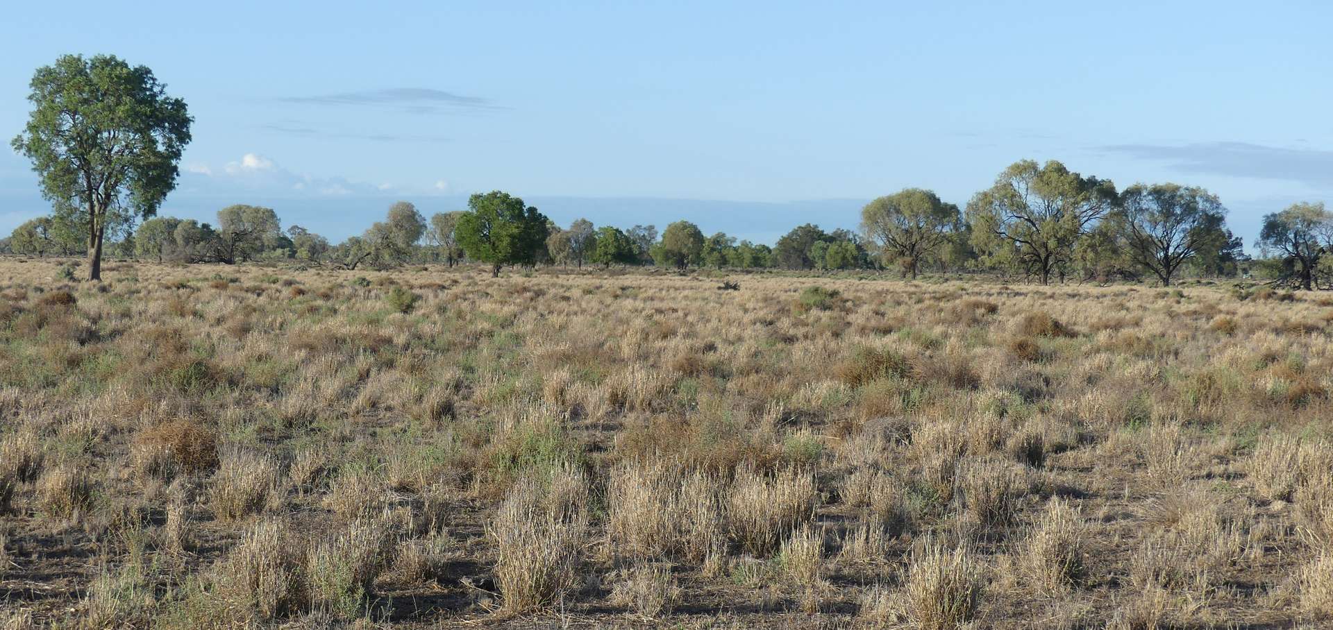 Warren Tender by Farmbuy.com - image 5