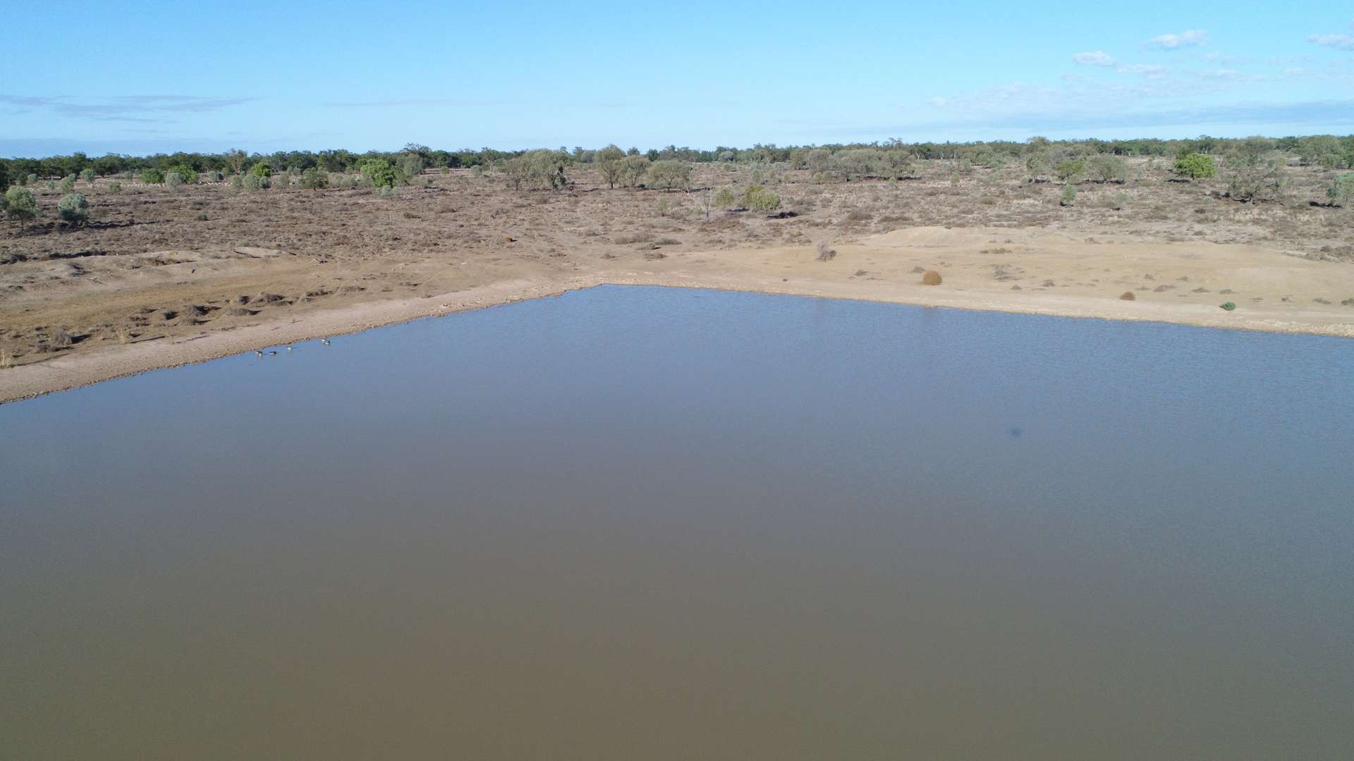 Warren Tender by Farmbuy.com - image 7