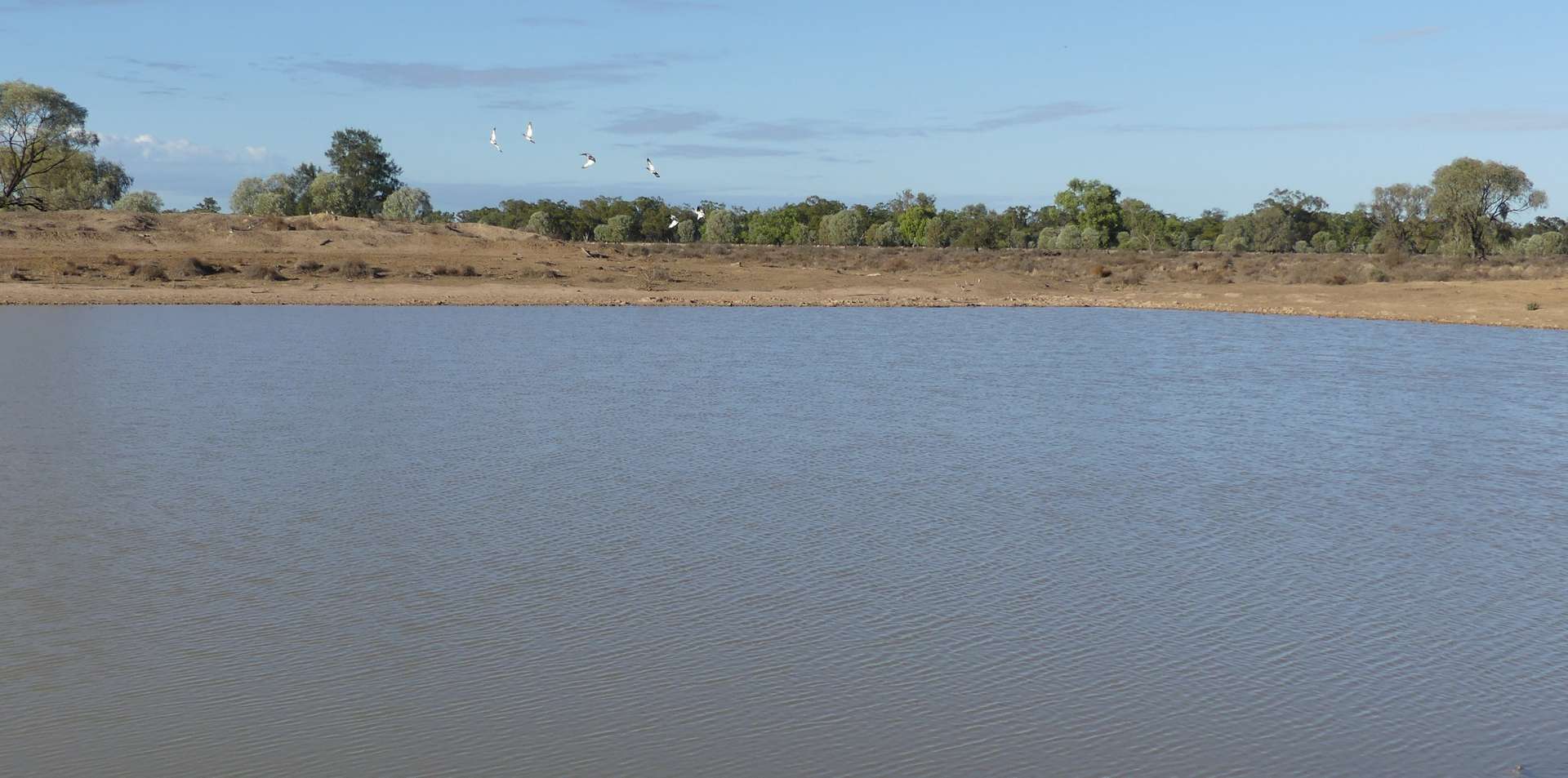 Warren Tender by Farmbuy.com - image 10