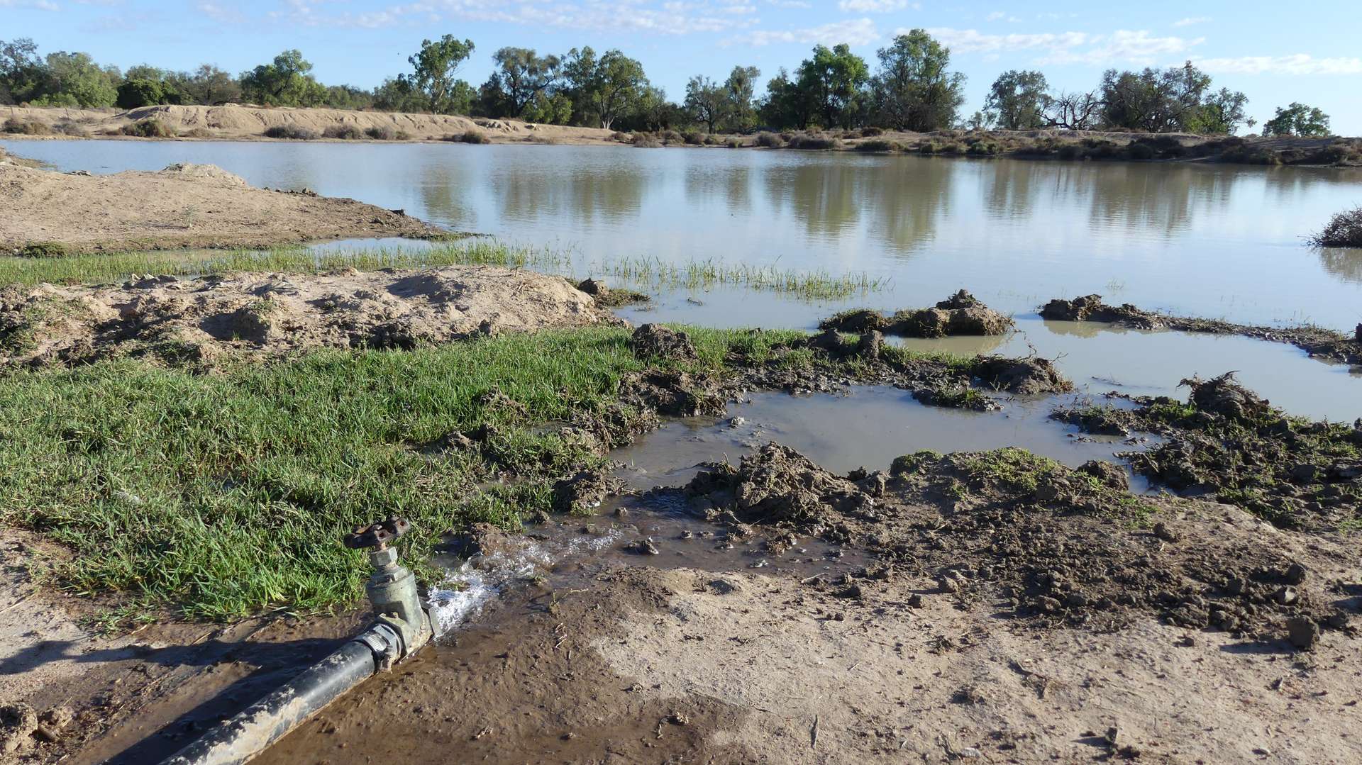 Warren Tender by Farmbuy.com - image 11